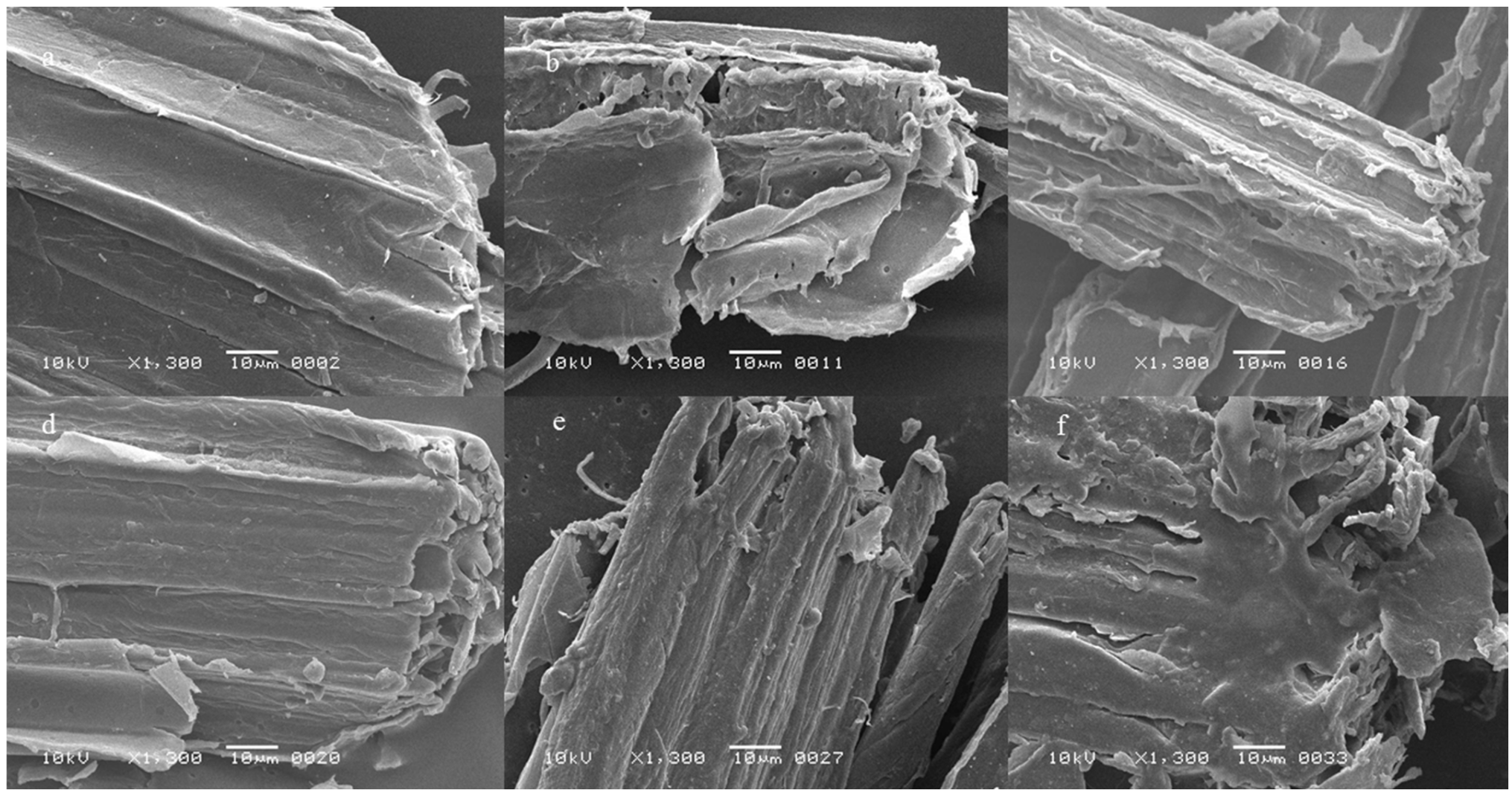 Fermentation 09 00141 g004