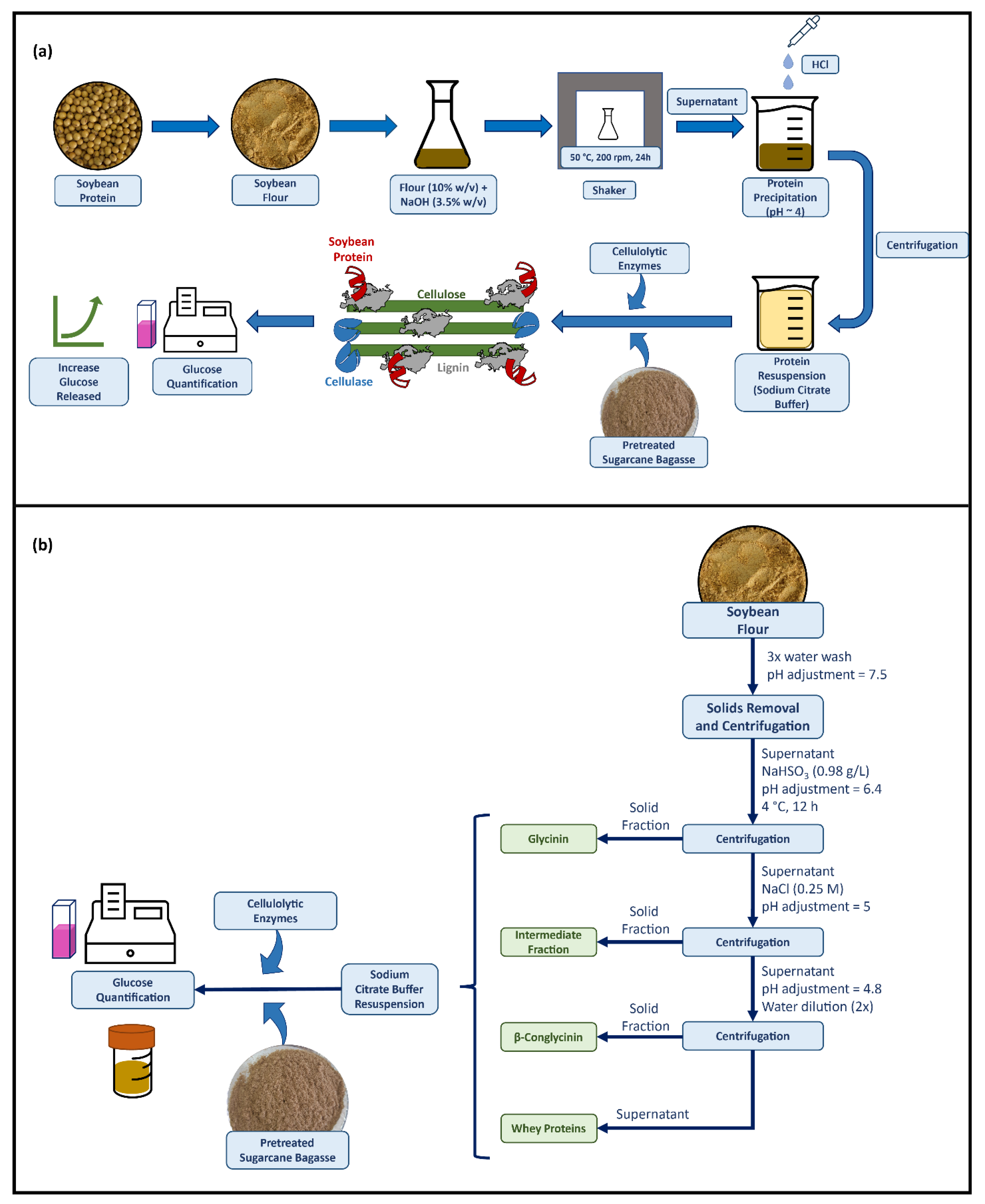 Fermentation Free FullText InHouse Extracted Soybean Protein Can Reduce the Enzyme Dosage