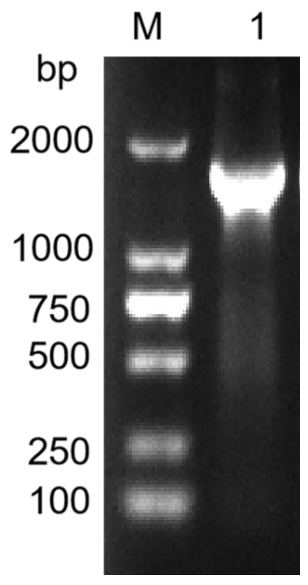 Fermentation 09 00144 g001