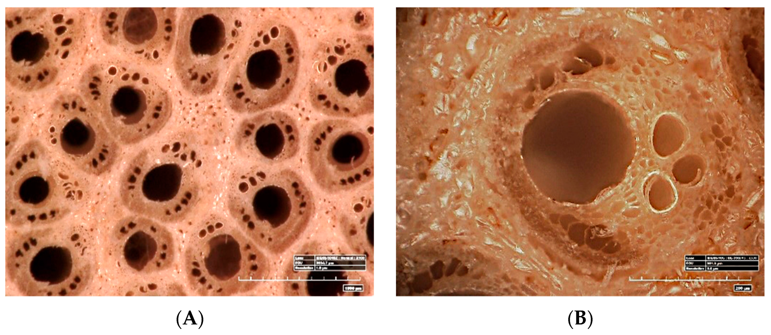 Fermentation 09 00159 g002 Fermentation 09 00159 g002