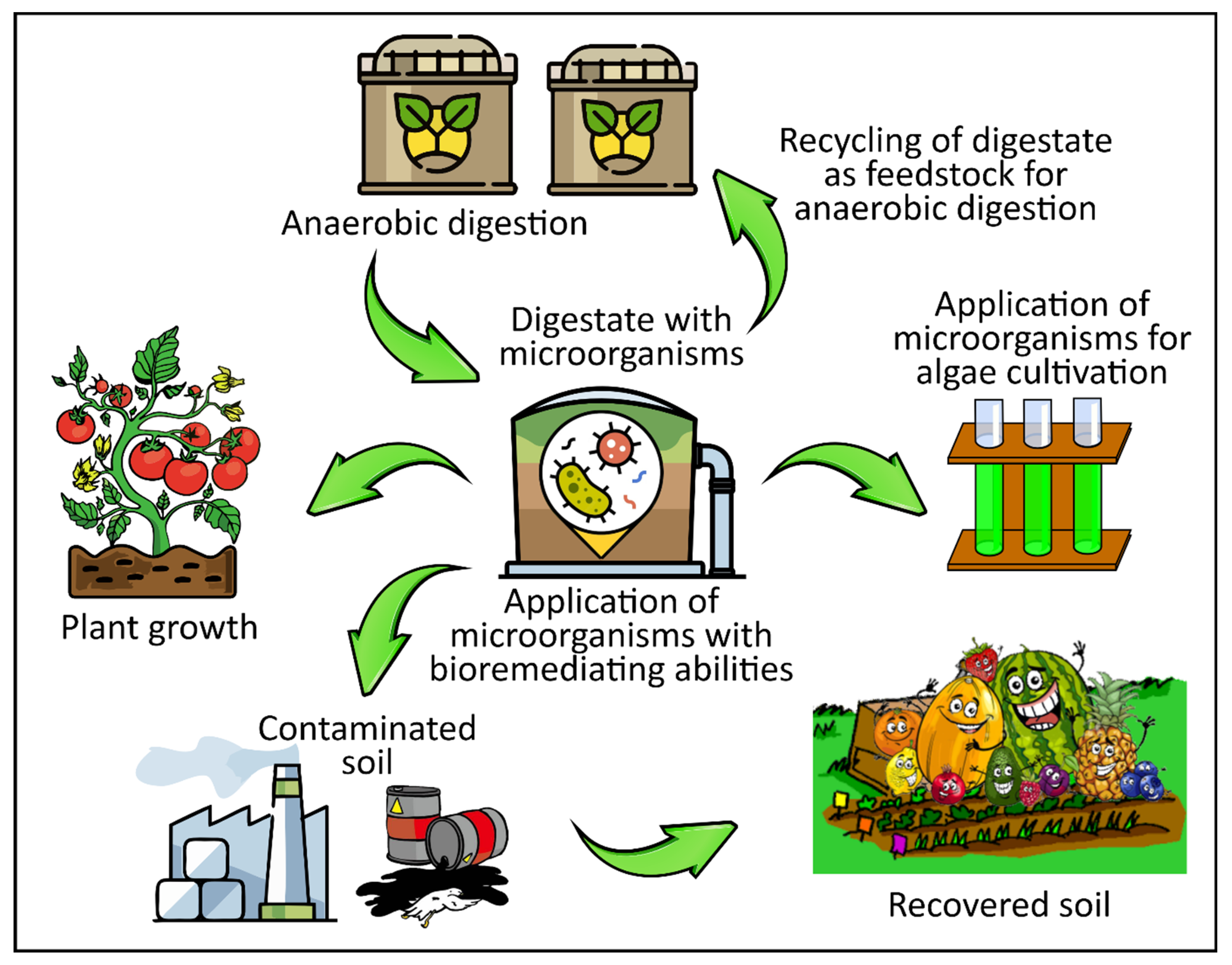 Fermentation 09 00160 g003 550