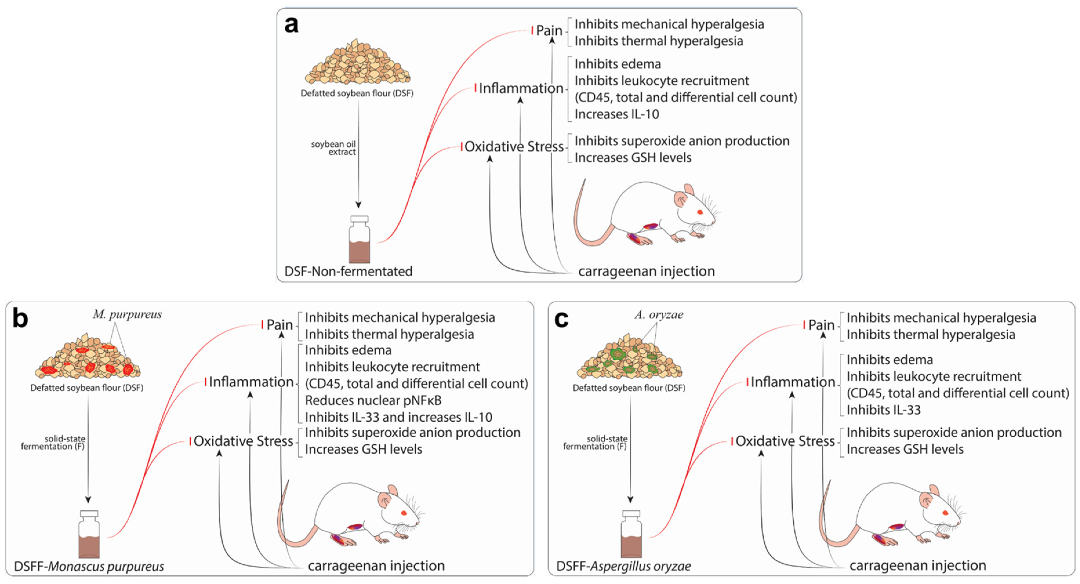Fermentation 09 00167 g008 550