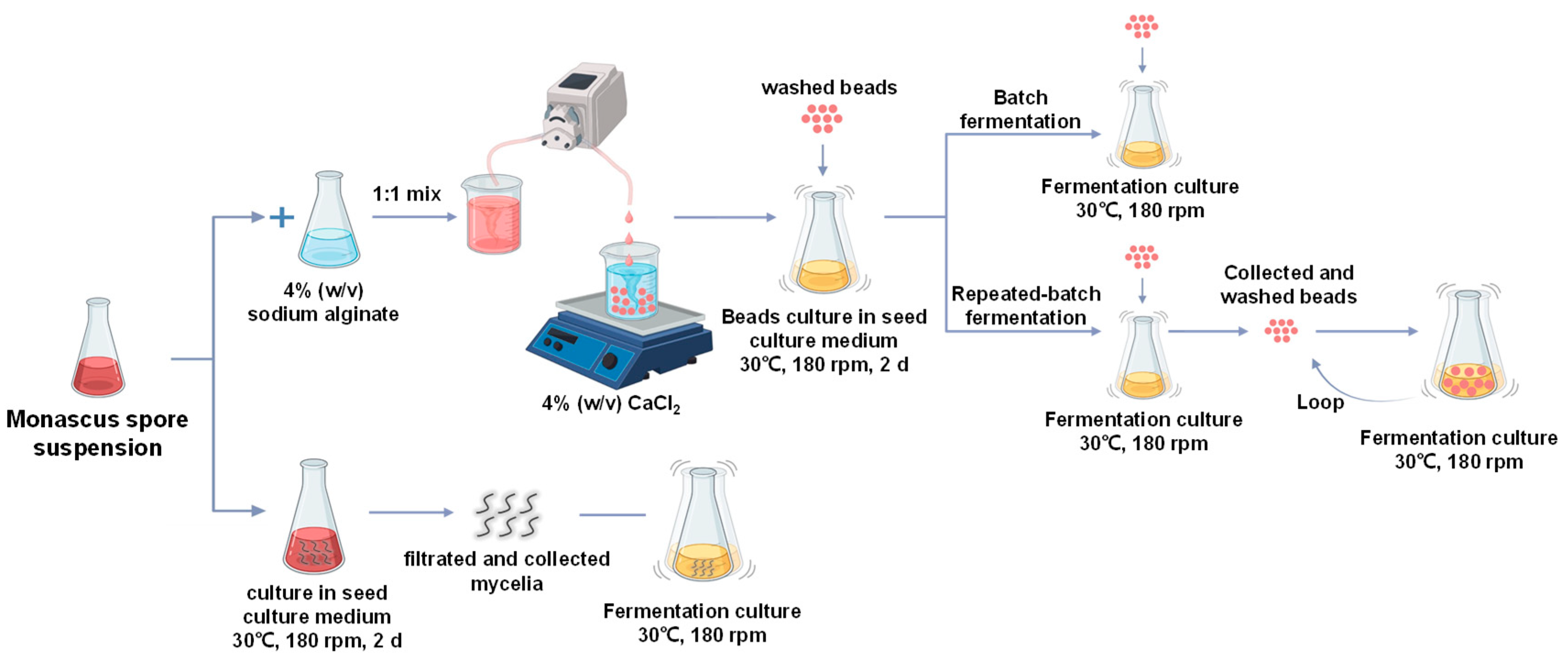 Fermentation Free FullText Monascus Yellow Pigment Production by