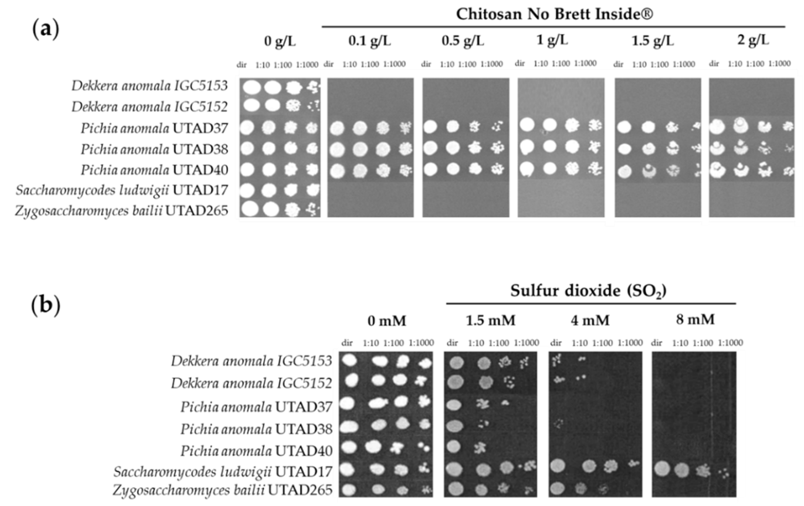 Fermentation 09 00172 g001 Fermentation 09 00172 g001