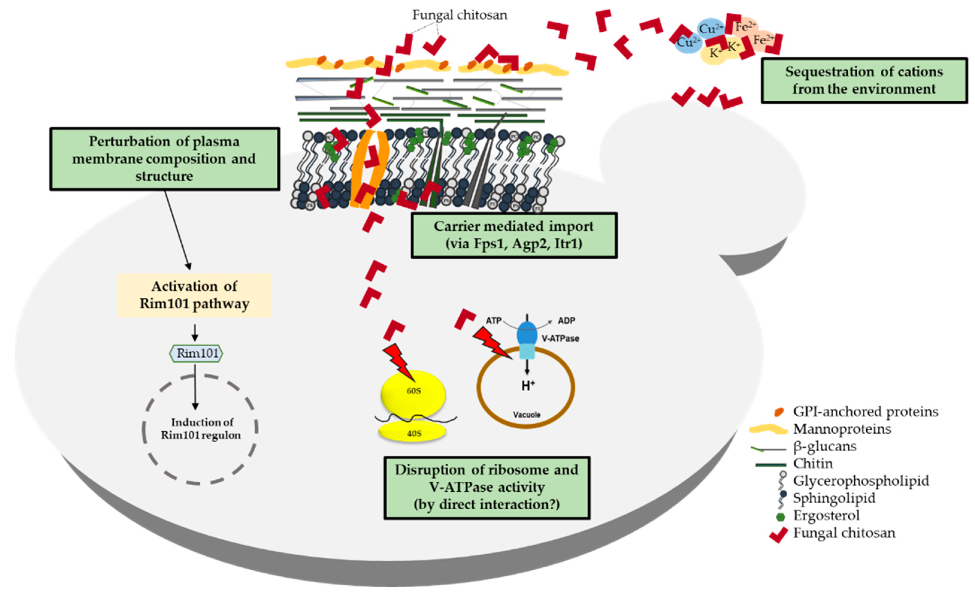 Fermentation 09 00172 g006 Fermentation 09 00172 g006