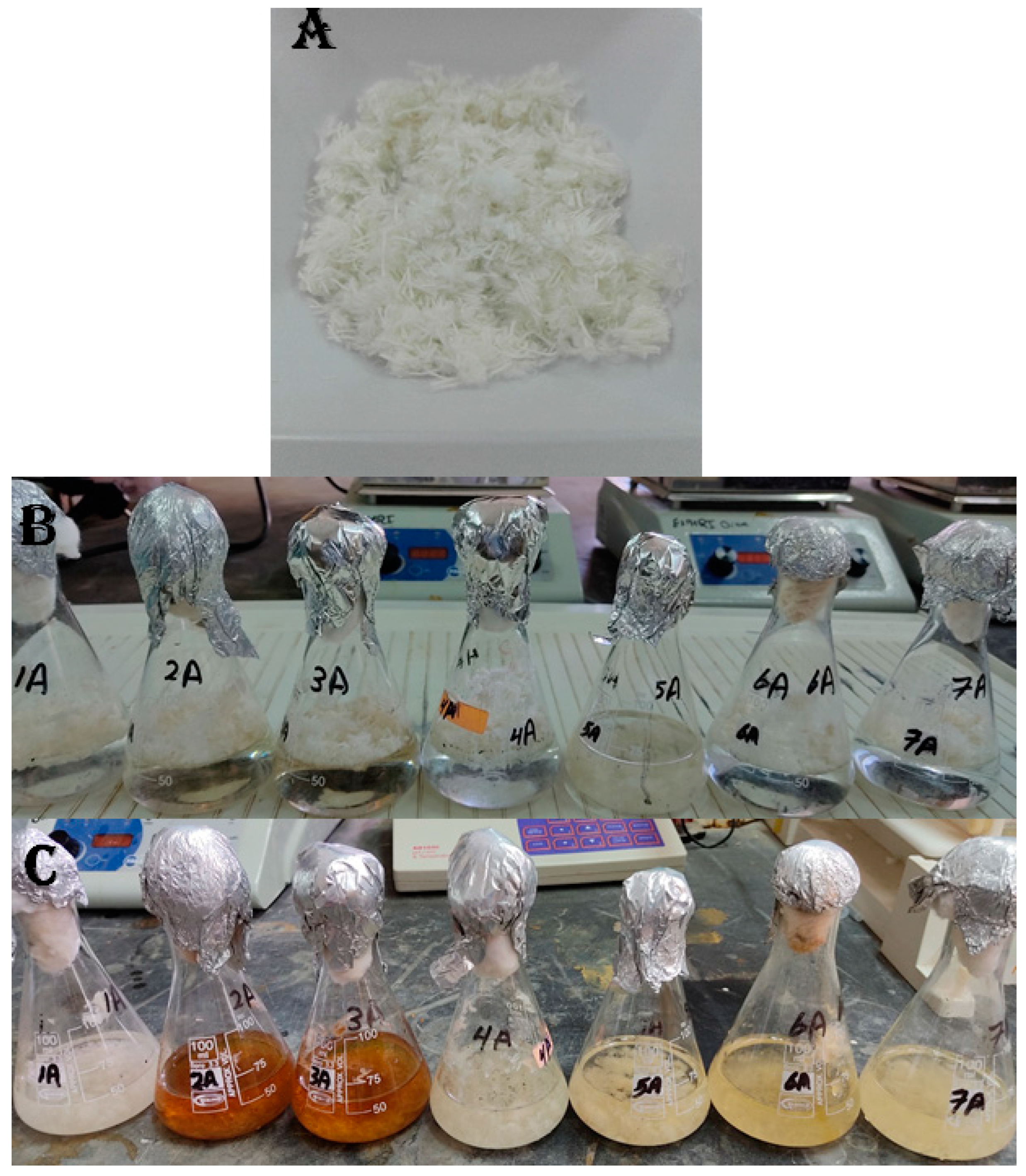 Fermentation 09 00176 g001 Fermentation 09 00176 g001