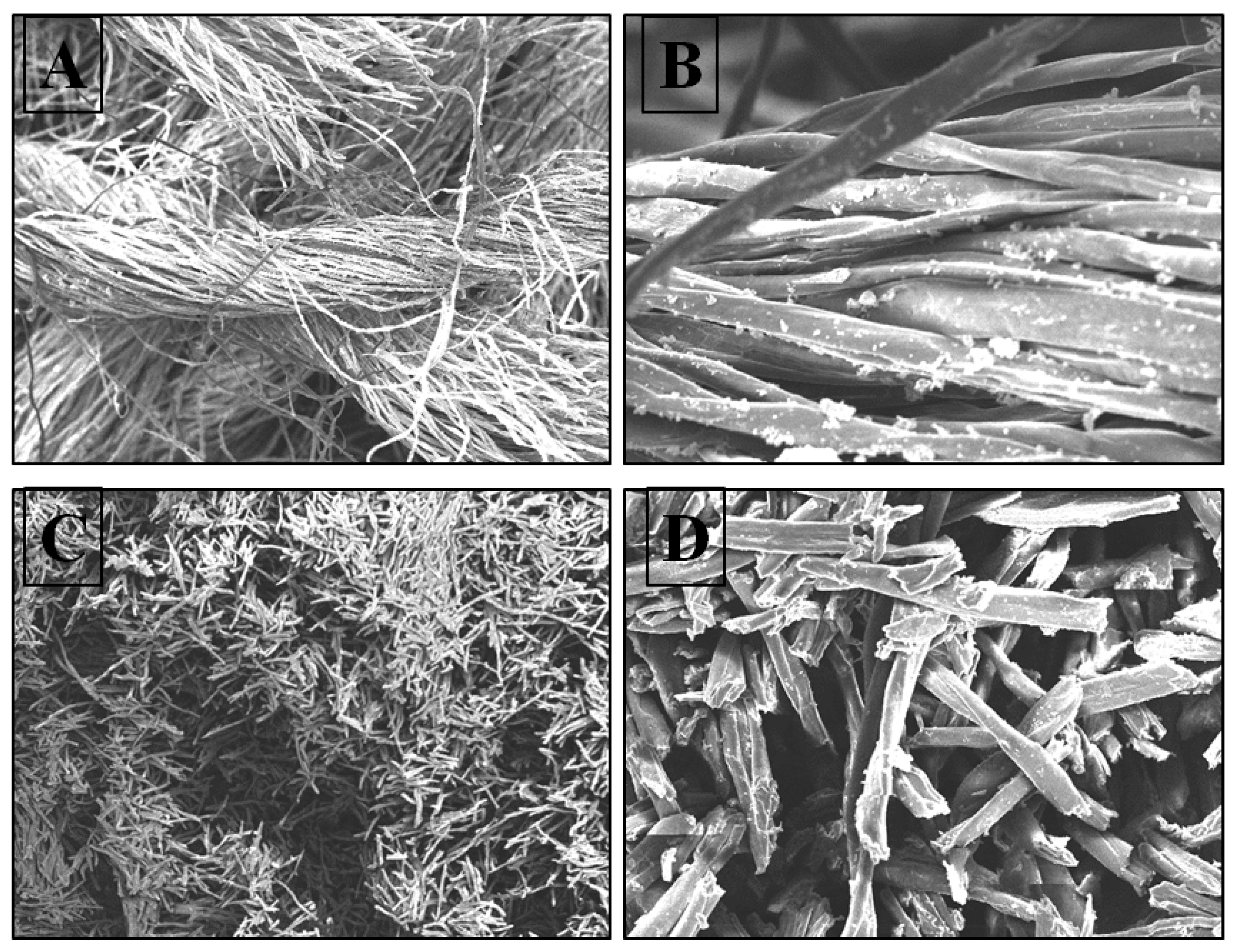 Fermentation 09 00176 g006 Fermentation 09 00176 g006