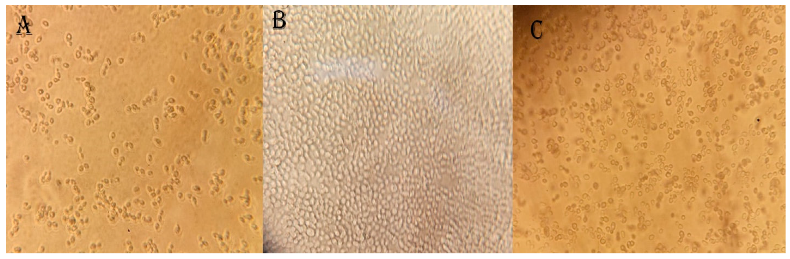 Fermentation 09 00176 g008 Fermentation 09 00176 g008