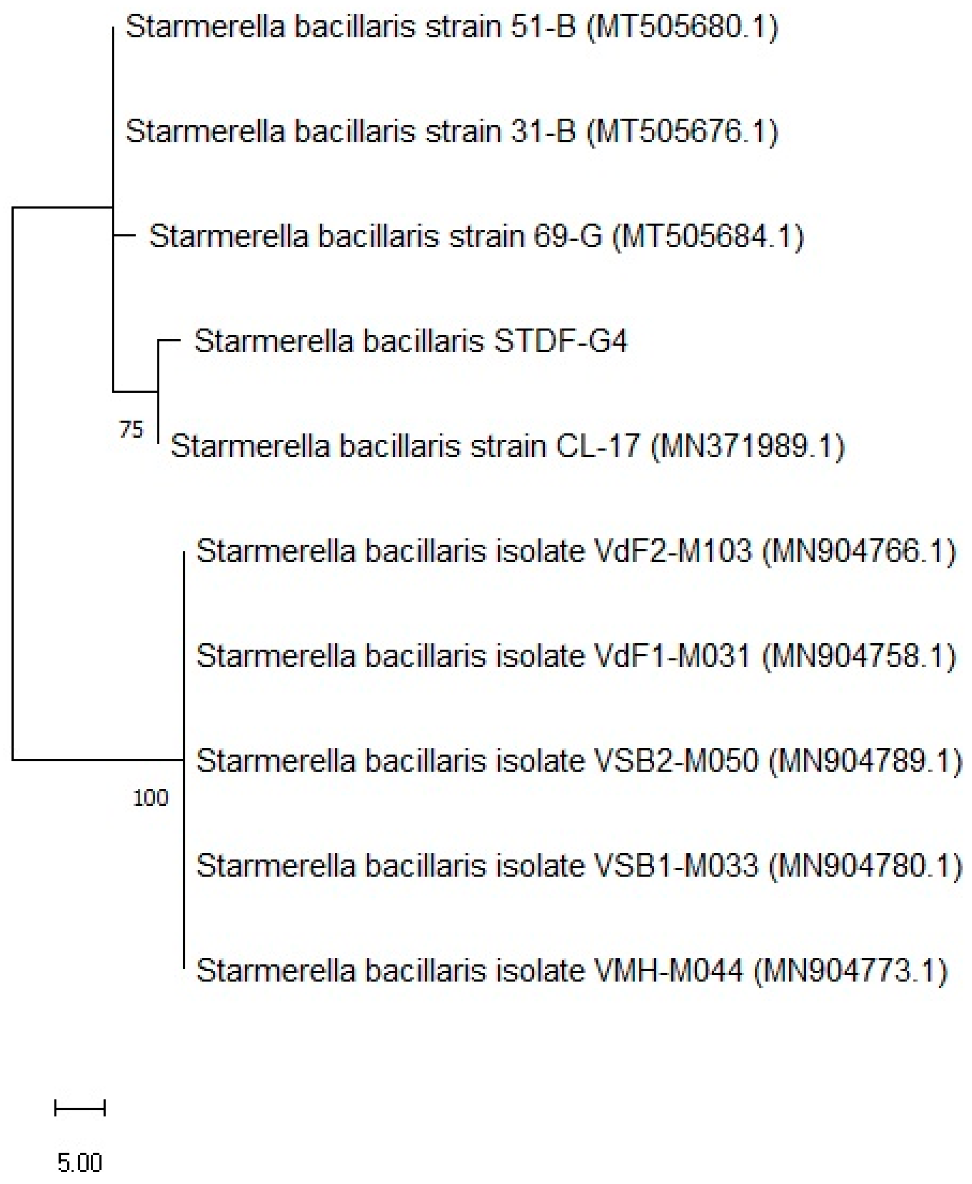 Fermentation 09 00176 g012 Fermentation 09 00176 g012