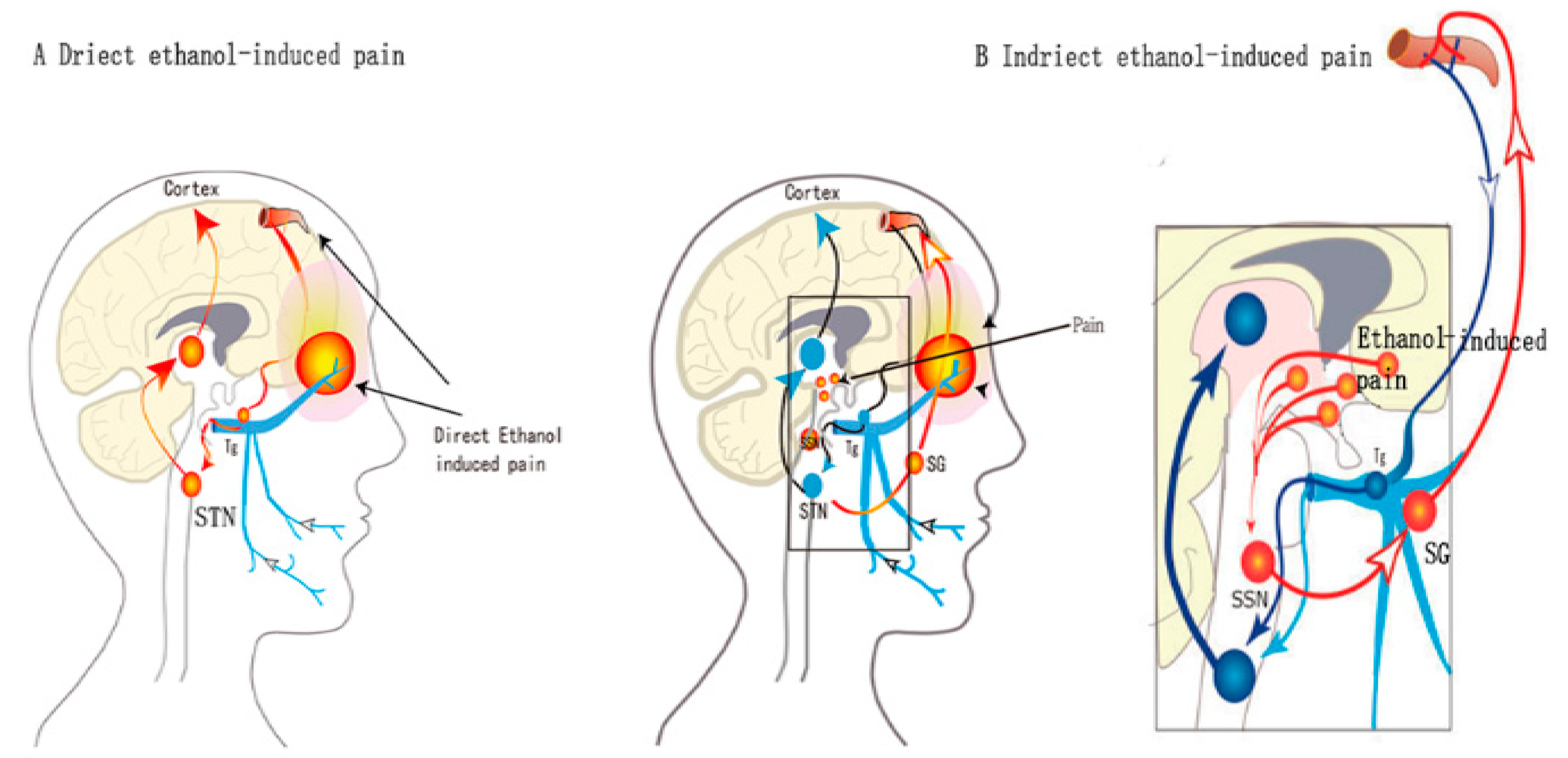 Fermentation 09 00184 g001