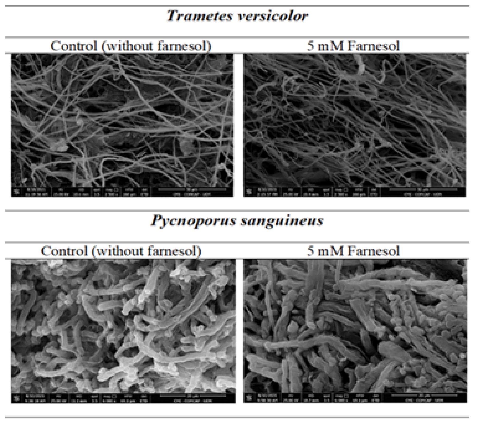 Fermentation 09 00188 g004