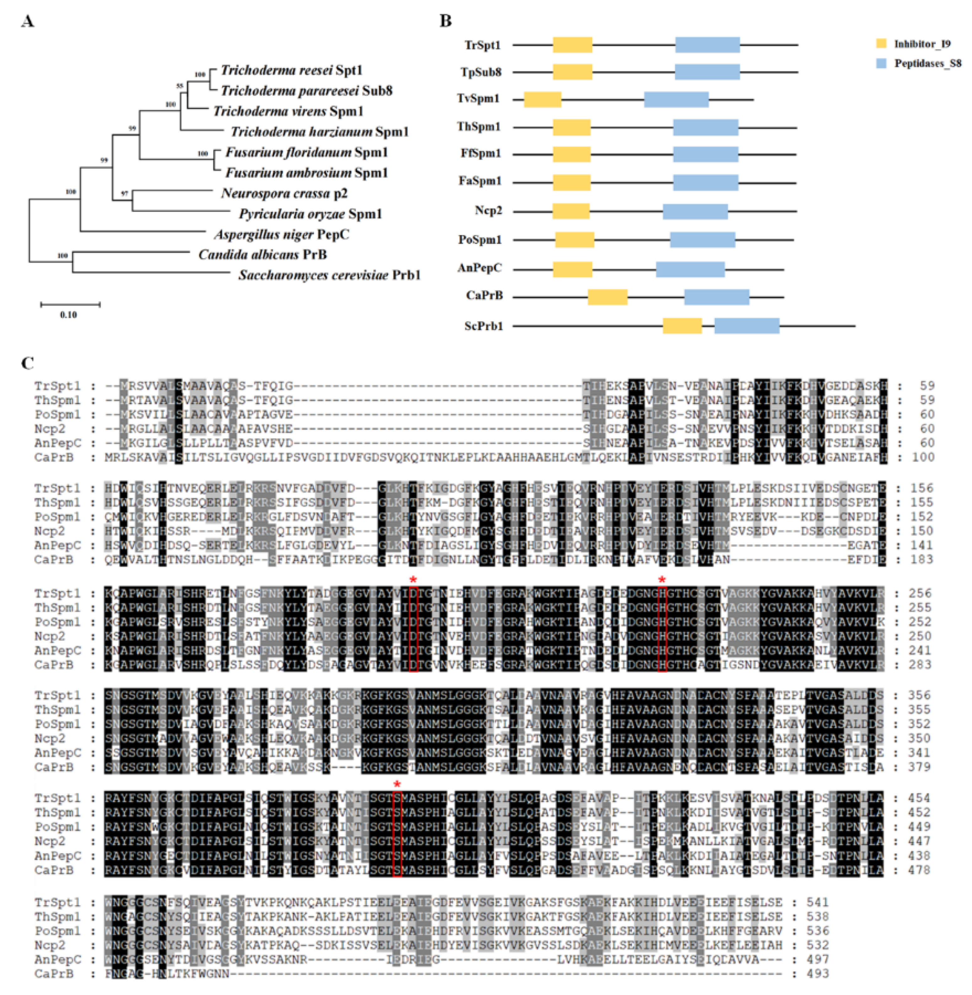 Fermentation 09 00191 g001 Fermentation 09 00191 g001