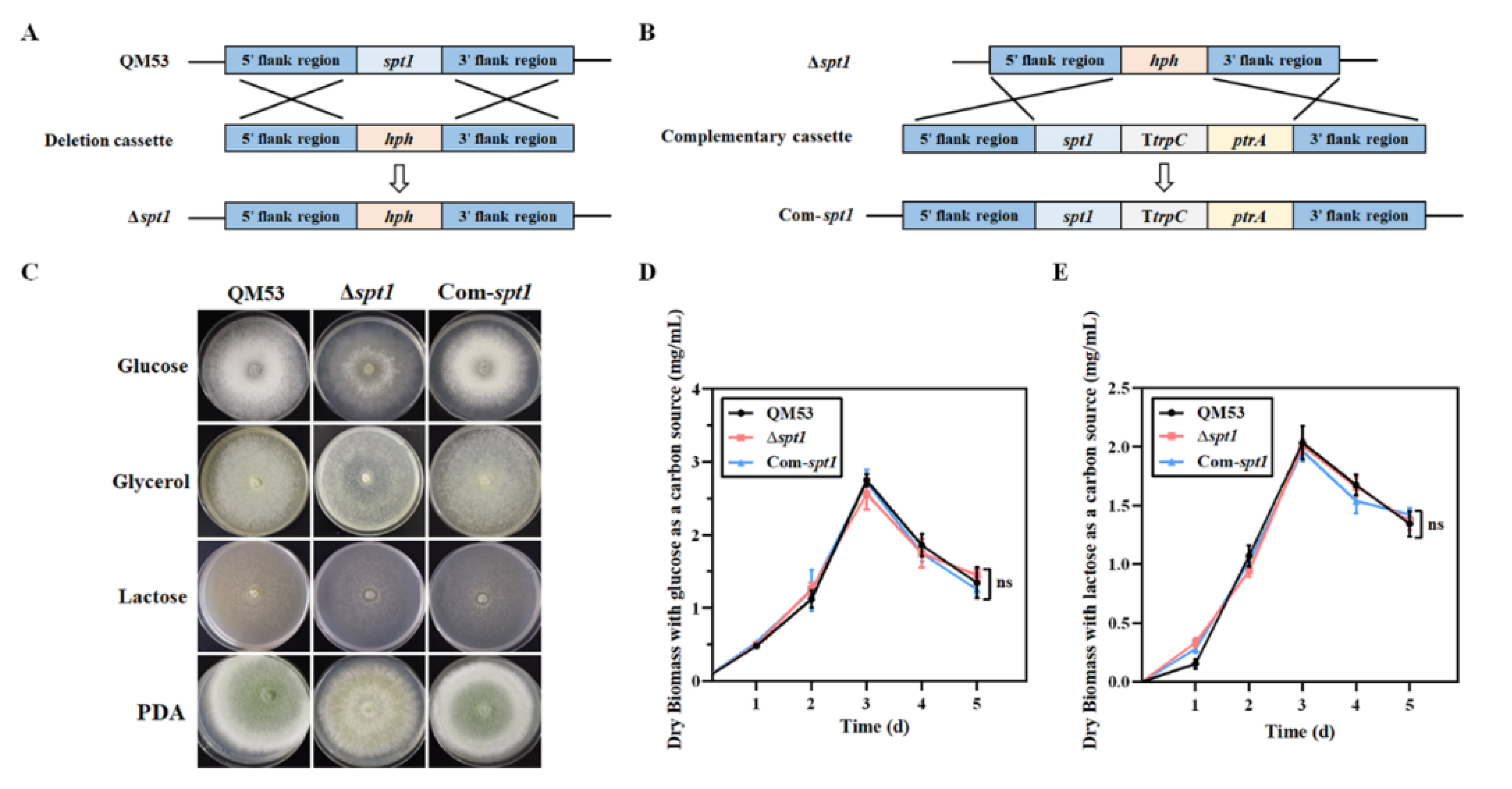 Fermentation 09 00191 g002 Fermentation 09 00191 g002