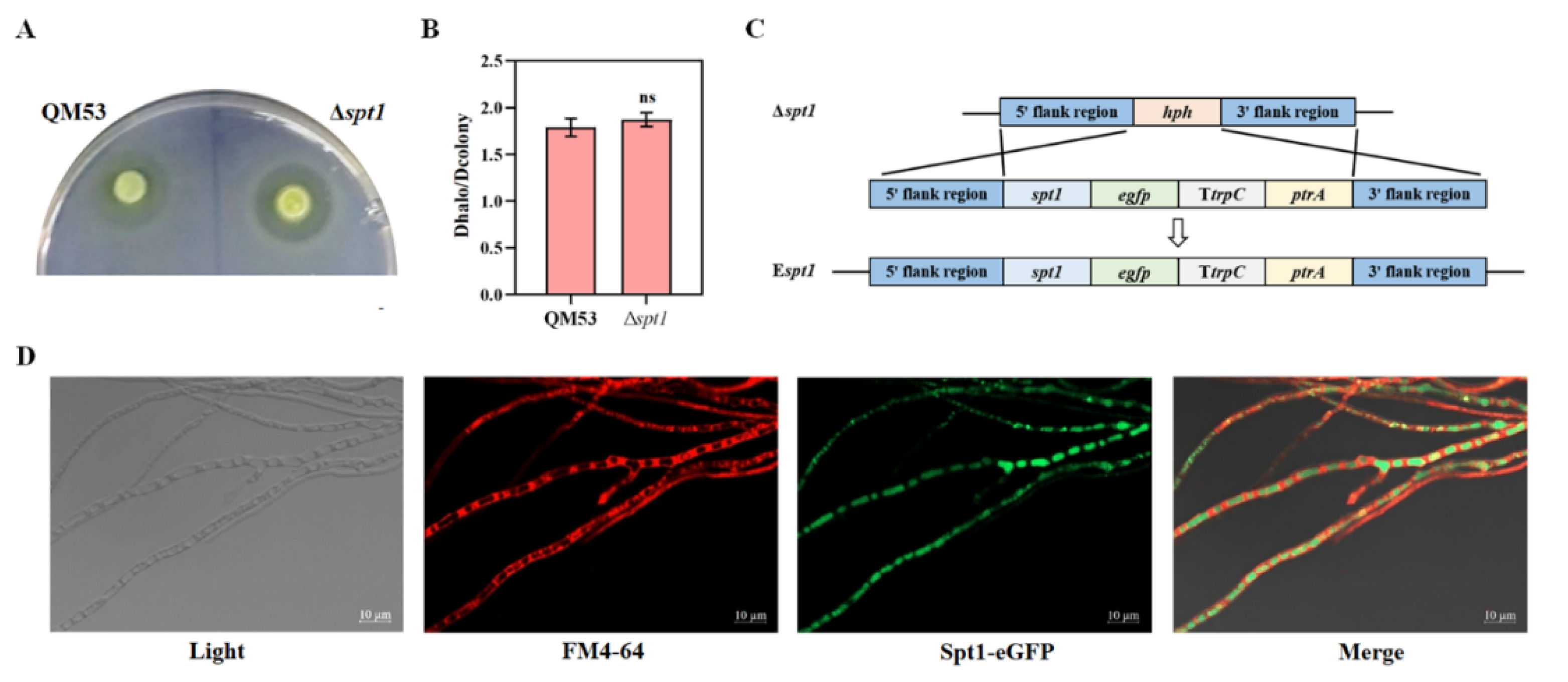 Fermentation 09 00191 g003 Fermentation 09 00191 g003