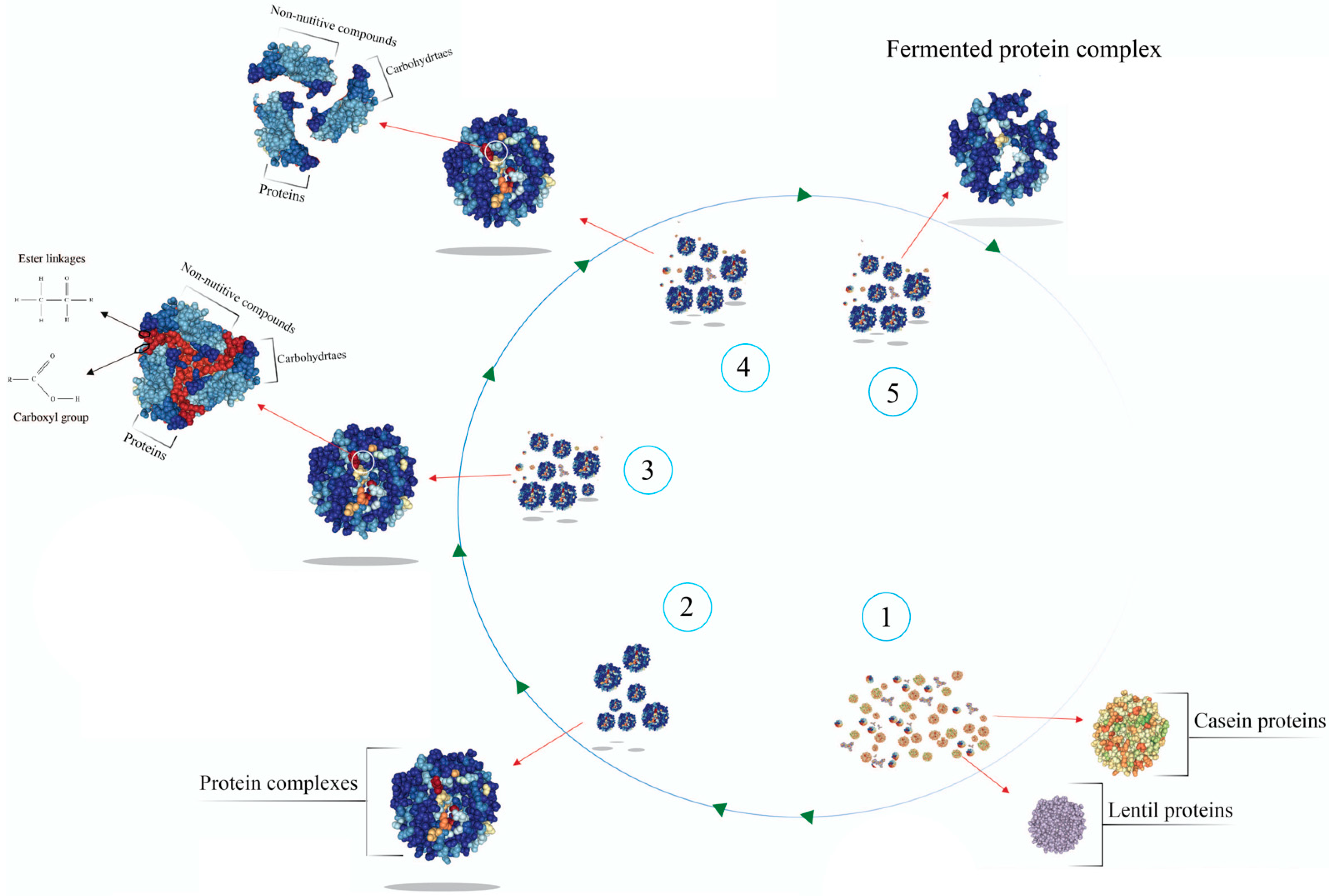 Fermentation 09 00194 g003 Fermentation 09 00194 g003