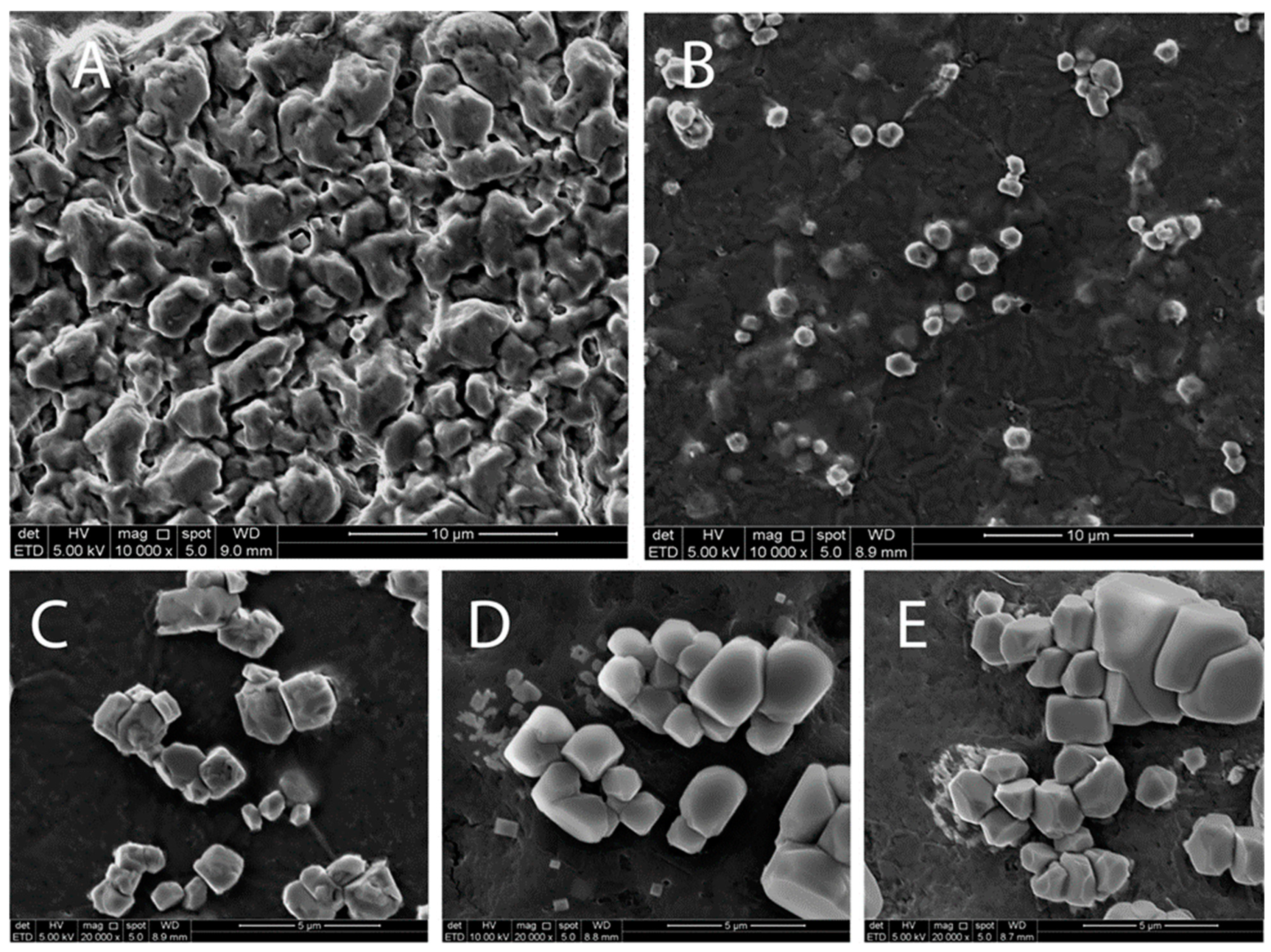 Fermentation 09 00194 g004 Fermentation 09 00194 g004