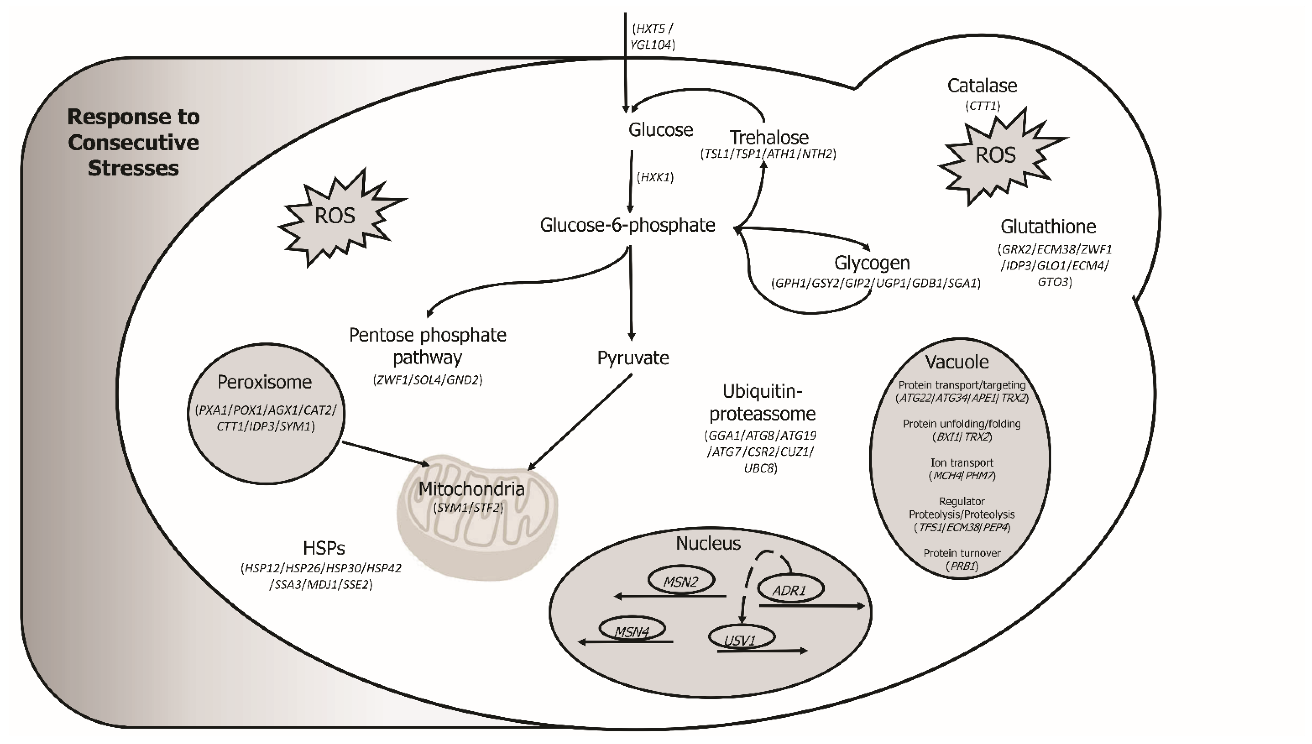Fermentation 09 00195 g005