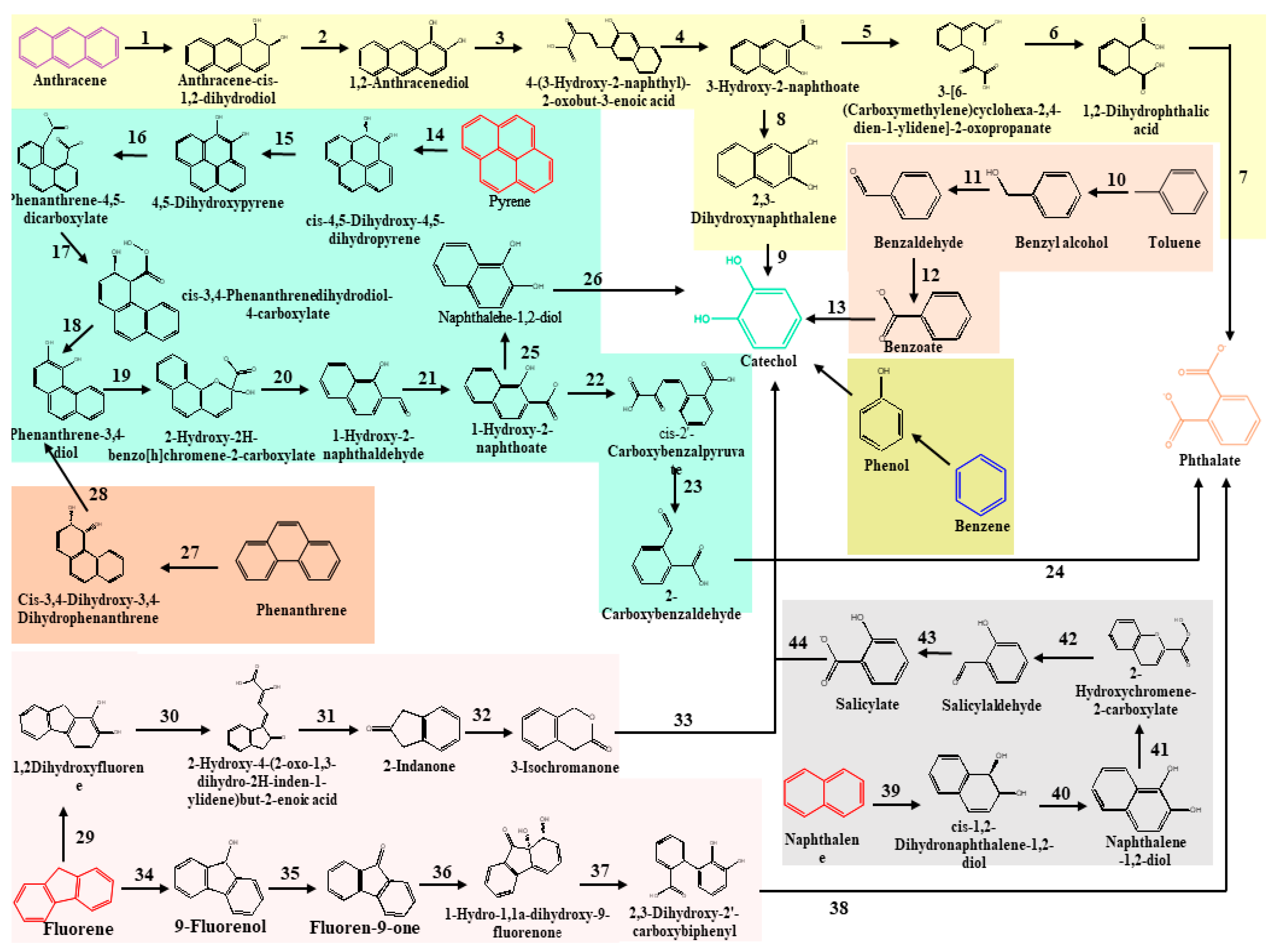 Fermentation 09 00196 g001