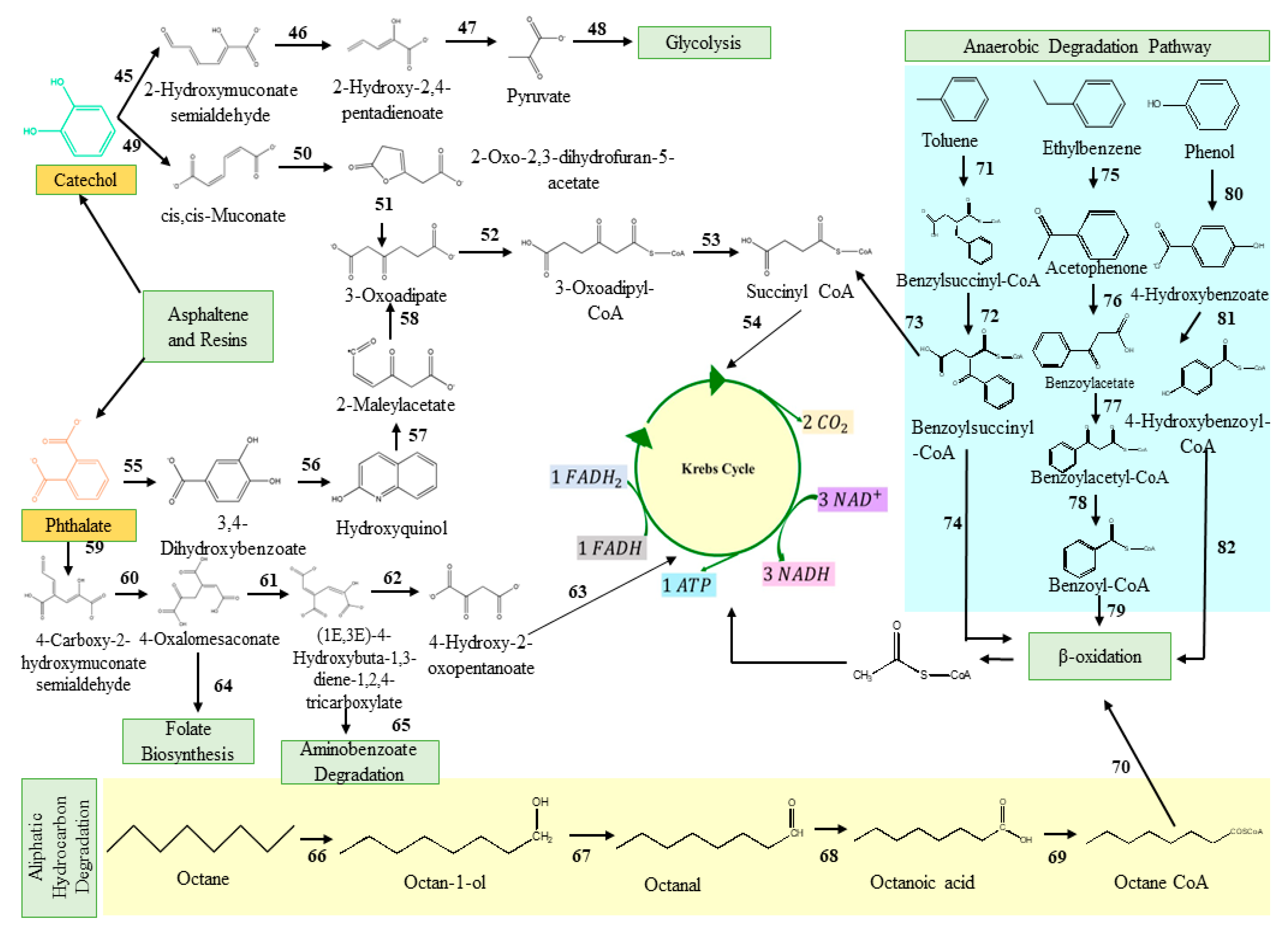 Fermentation 09 00196 g002