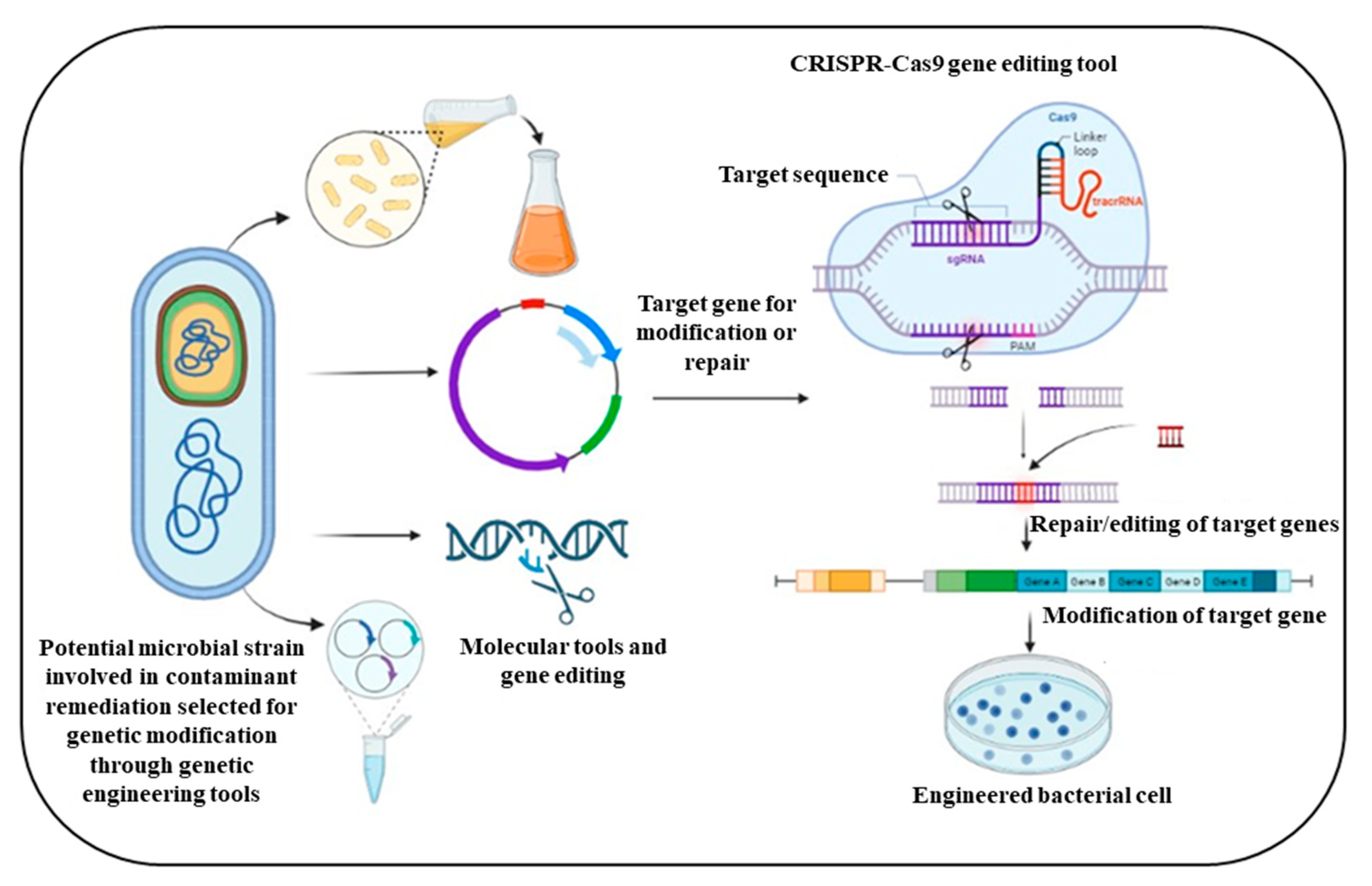 Fermentation 09 00196 g004