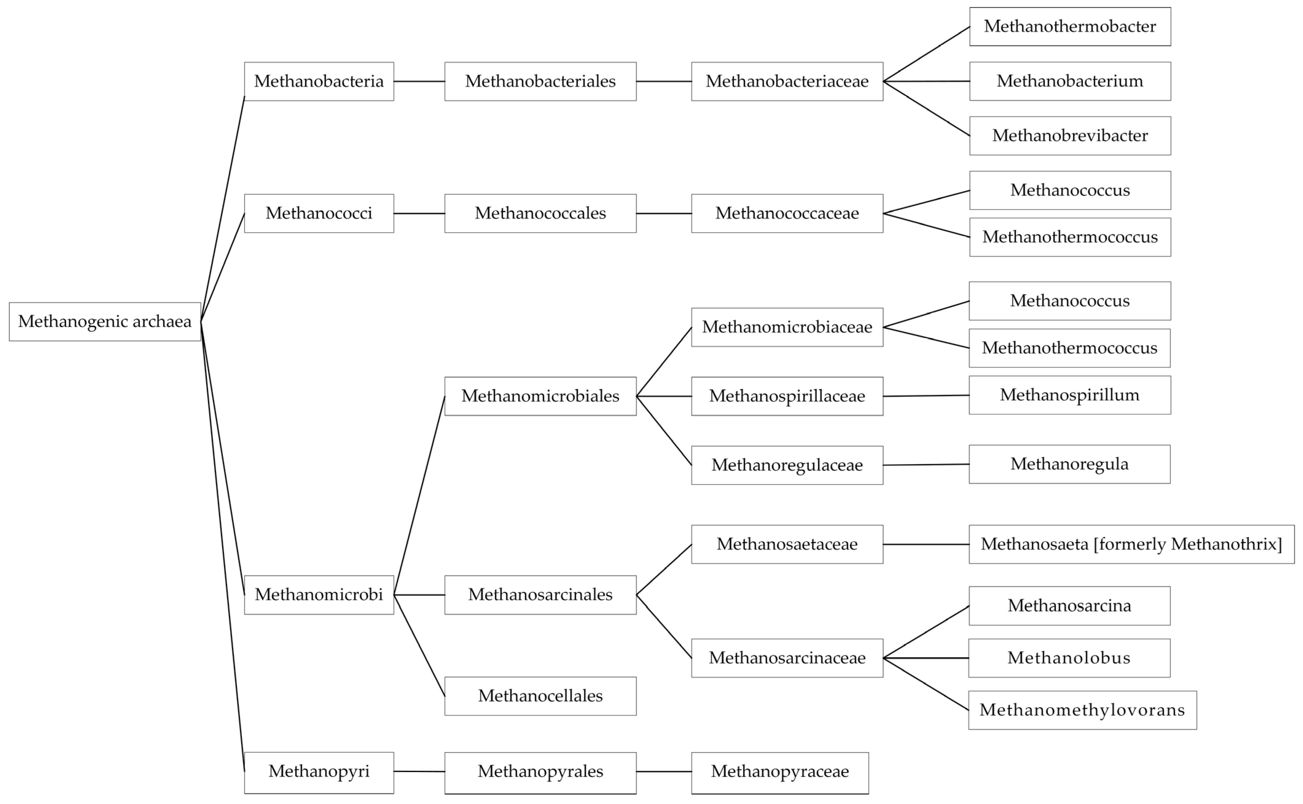 Fermentation 09 00199 g001