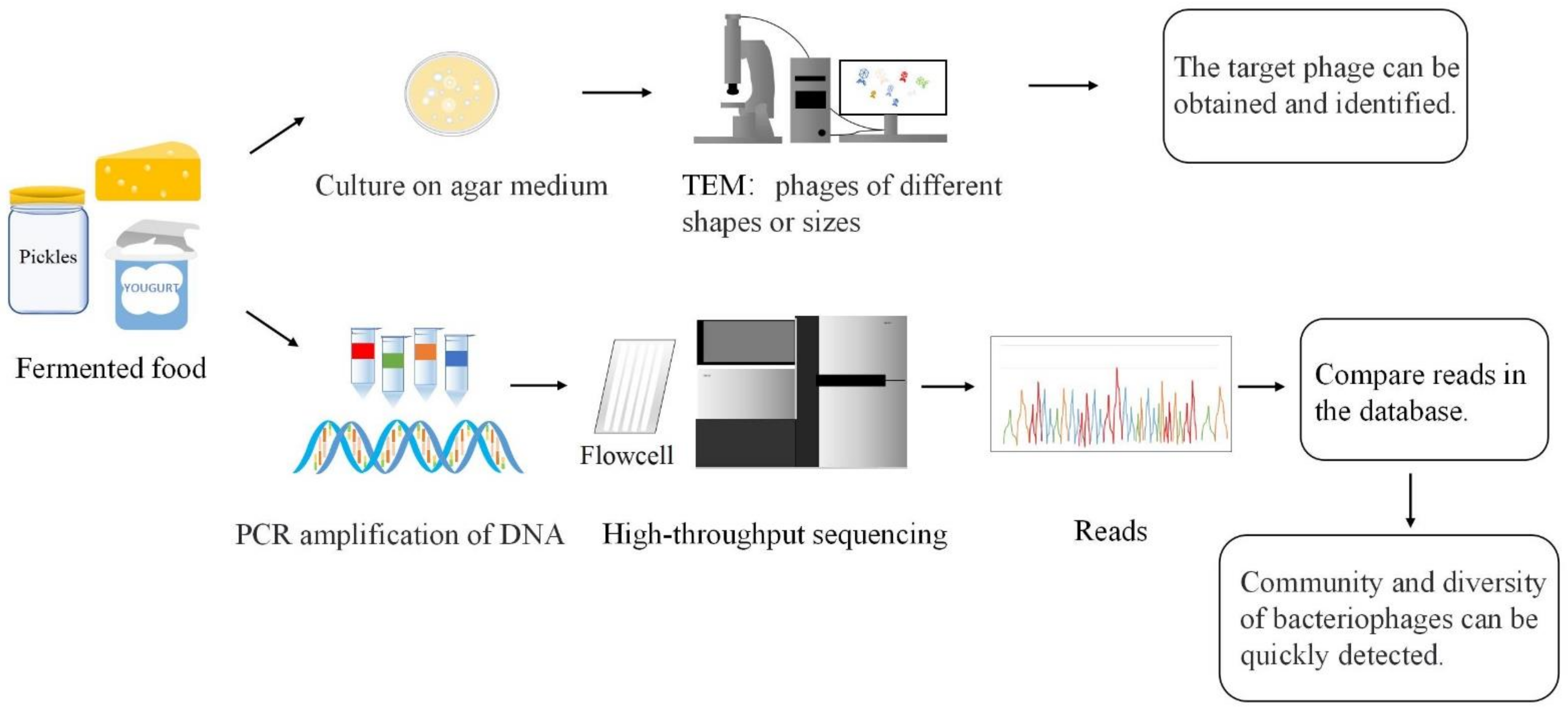Fermentation 09 00201 g001