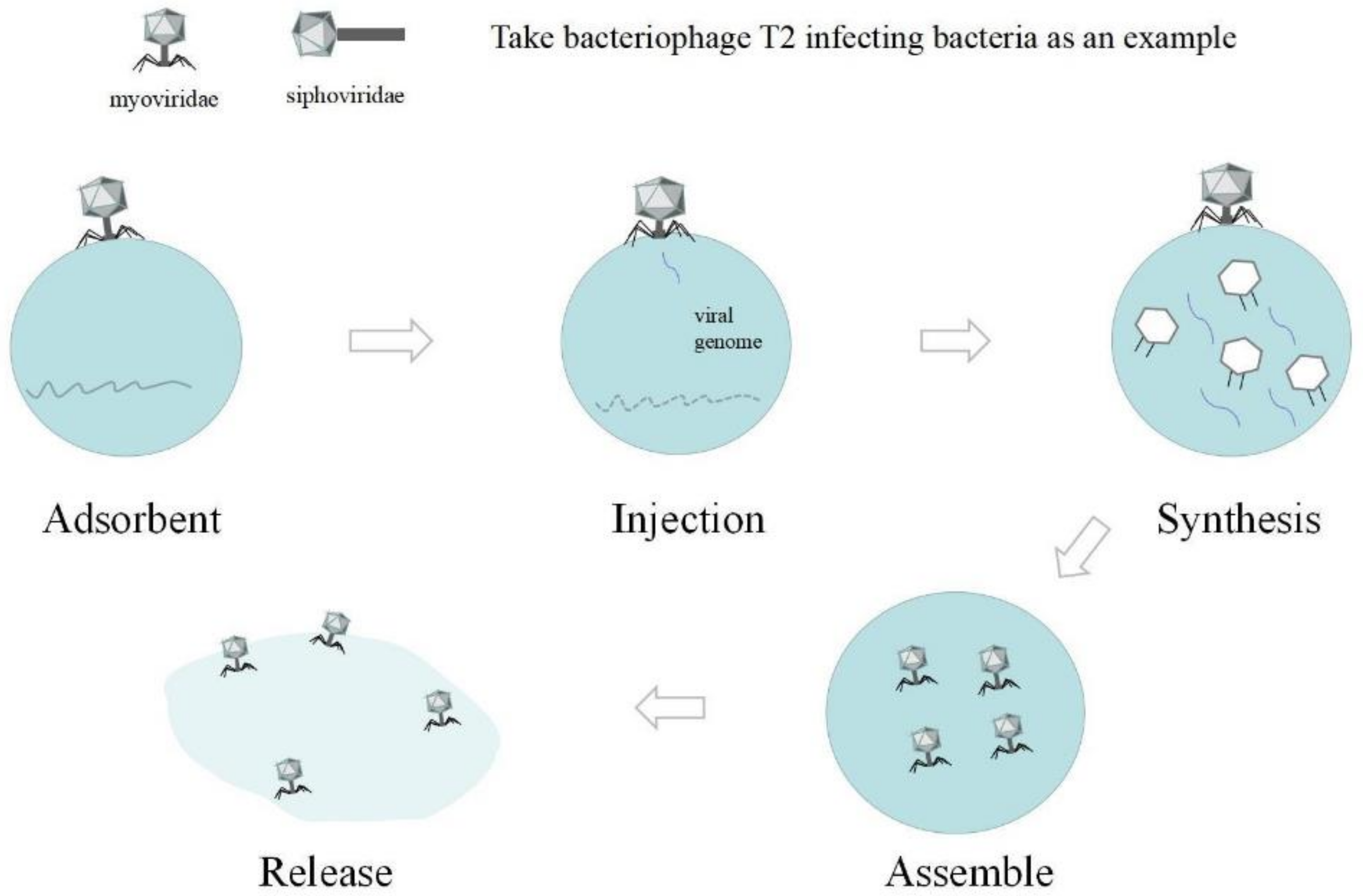 Fermentation 09 00201 g002