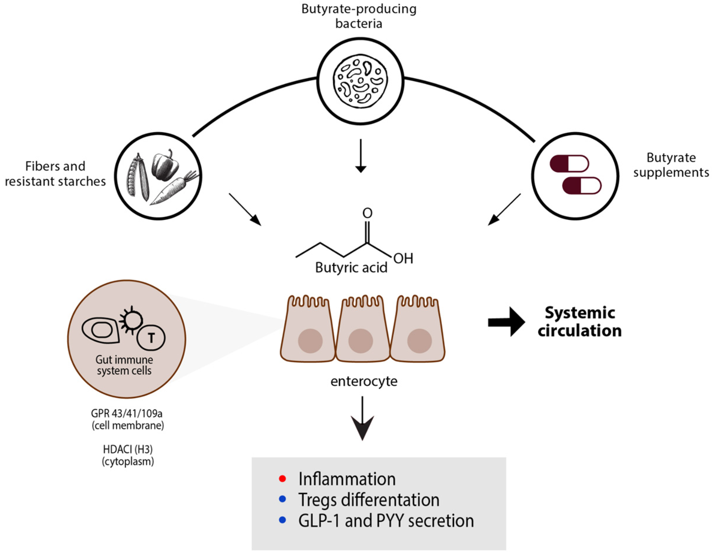 Fermentation 09 00205 g002
