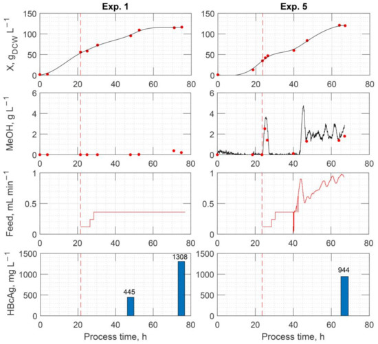 Model Predictive Control—A Stand Out among Competitors for Fed-Batch ...