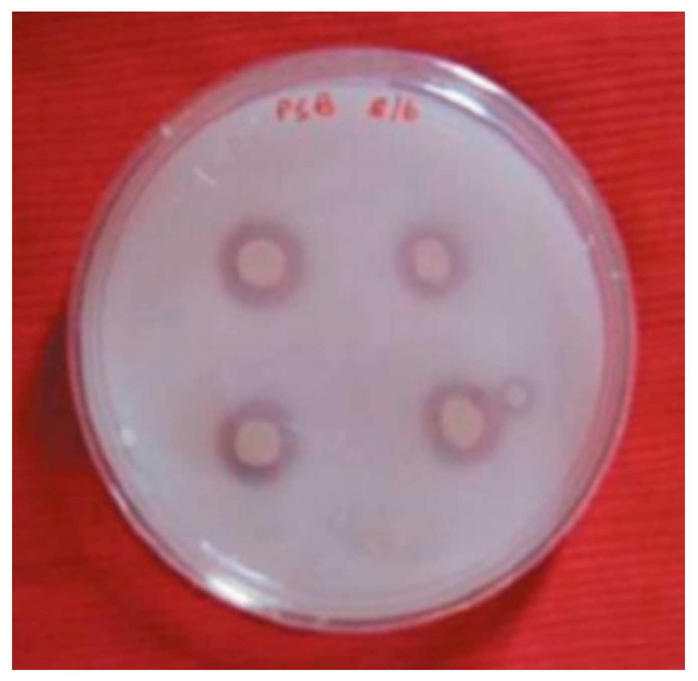 Fermentation 09 00207 g007 Fermentation 09 00207 g007