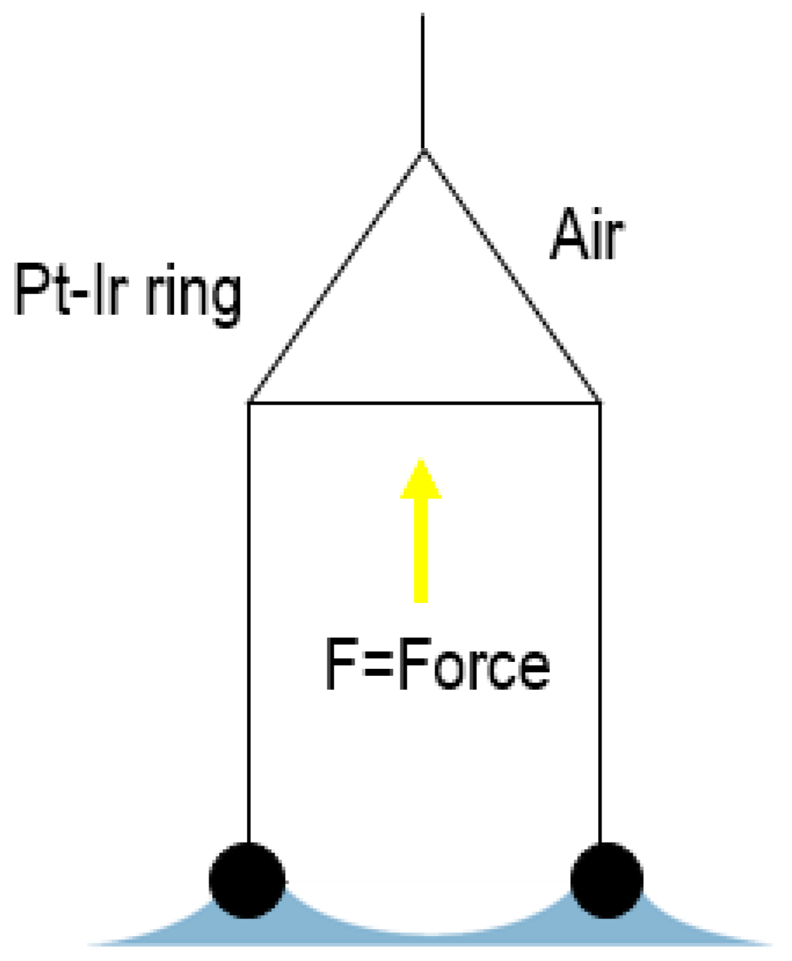 Fermentation 09 00207 g012 Fermentation 09 00207 g012