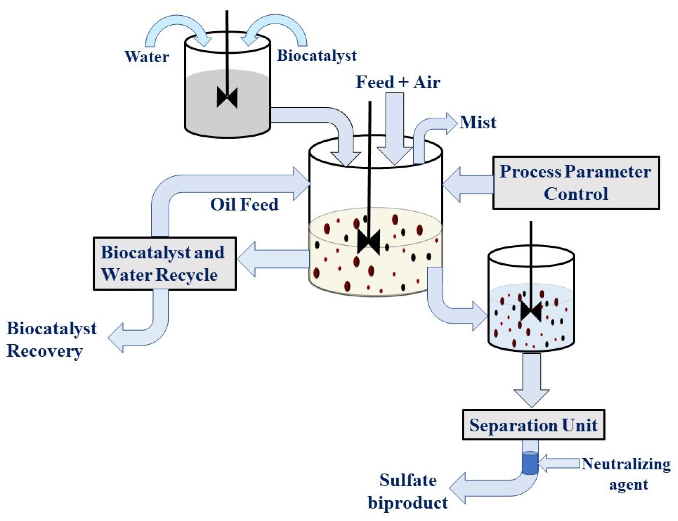 Fermentation Free FullText Bacterial Biological Factories Intended