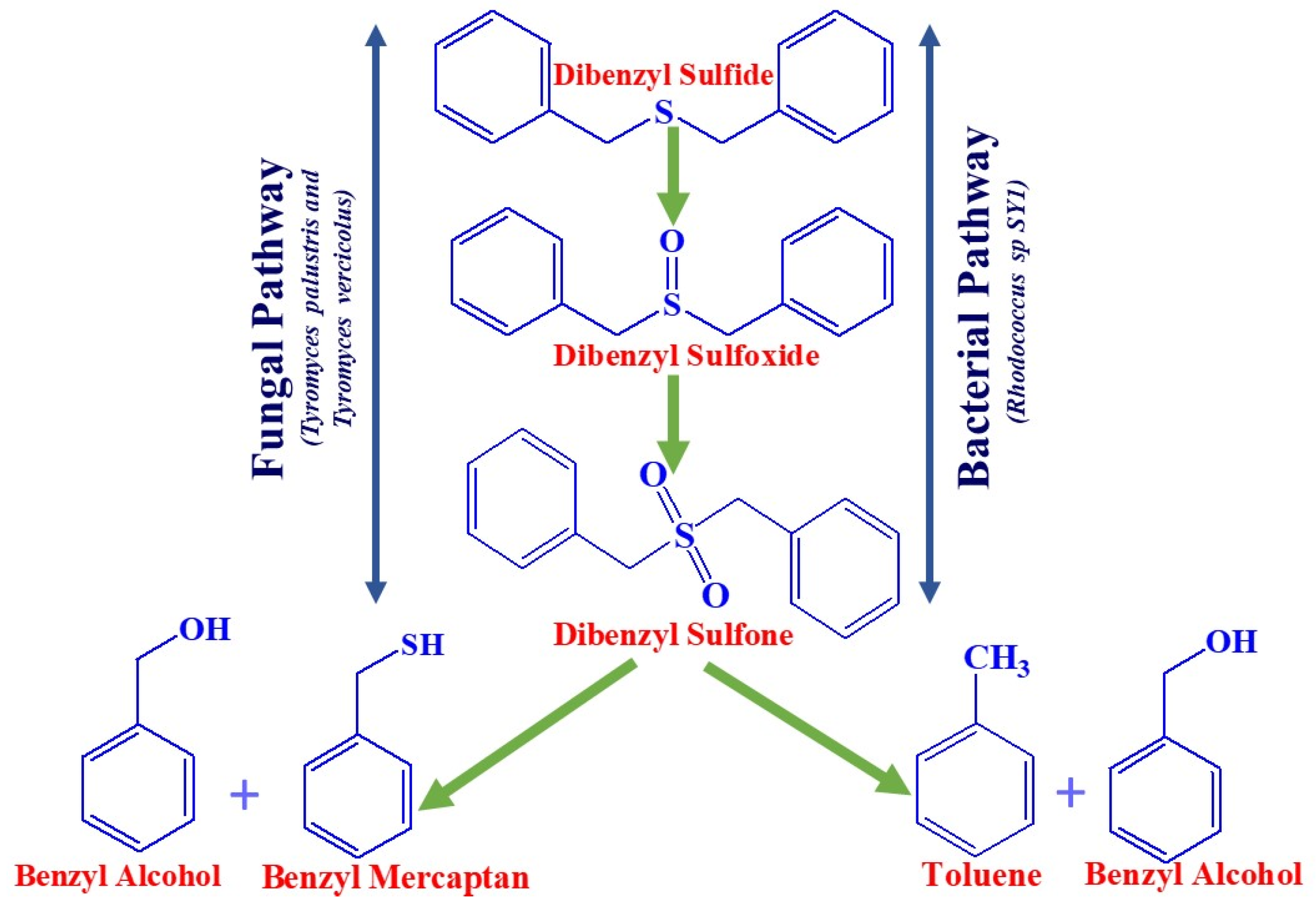 Fermentation 09 00211 g004 Fermentation 09 00211 g004
