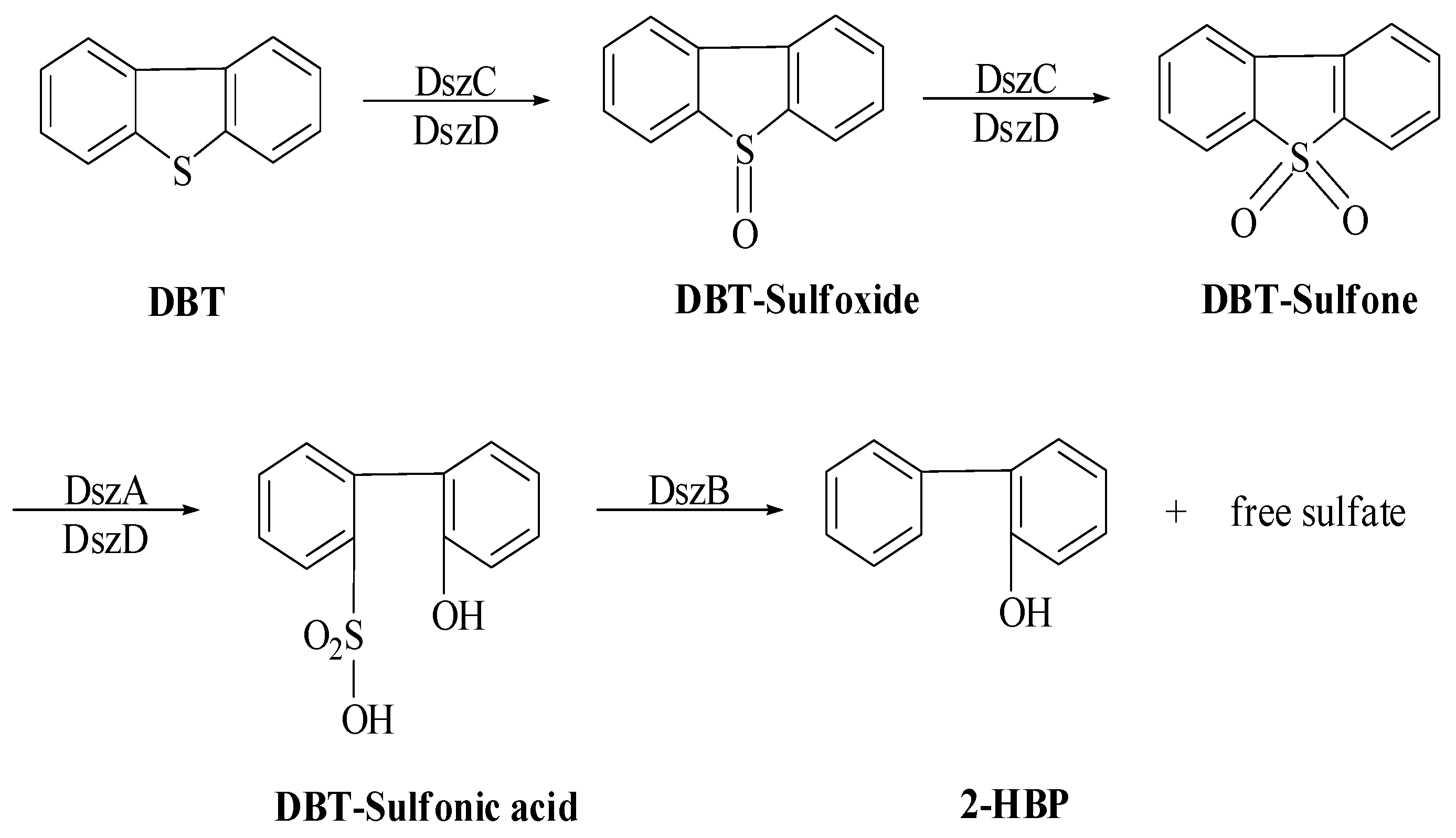 Fermentation 09 00211 sch003 Fermentation 09 00211 sch003