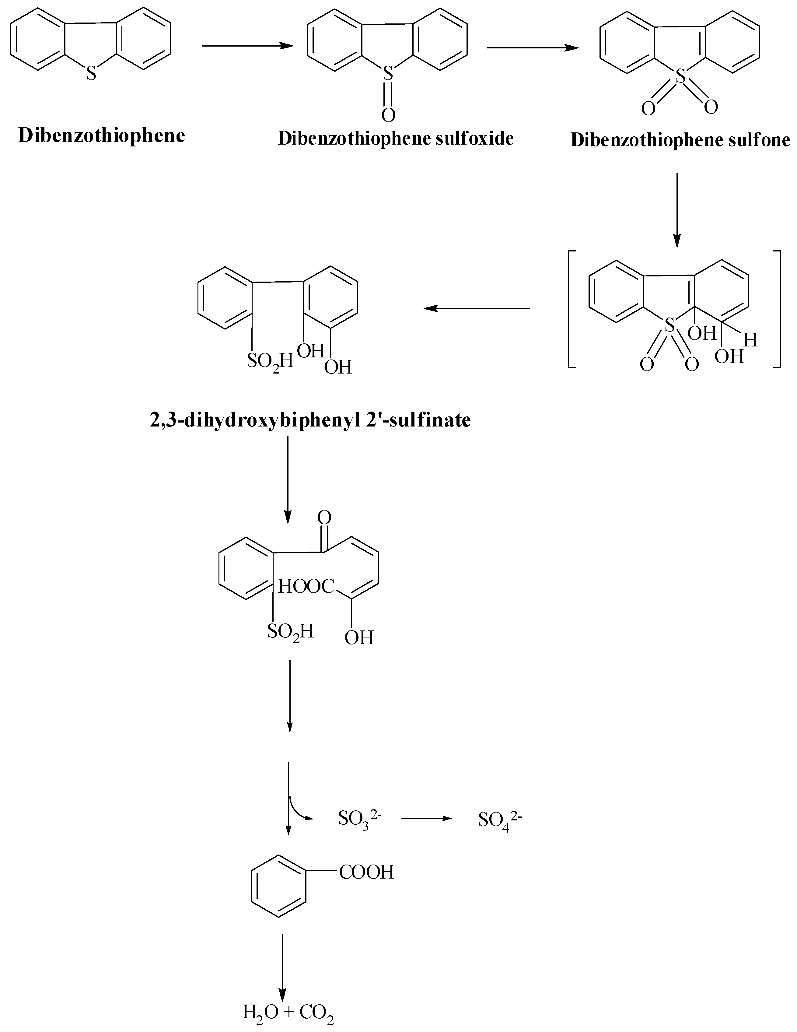 Fermentation 09 00211 sch004 Fermentation 09 00211 sch004