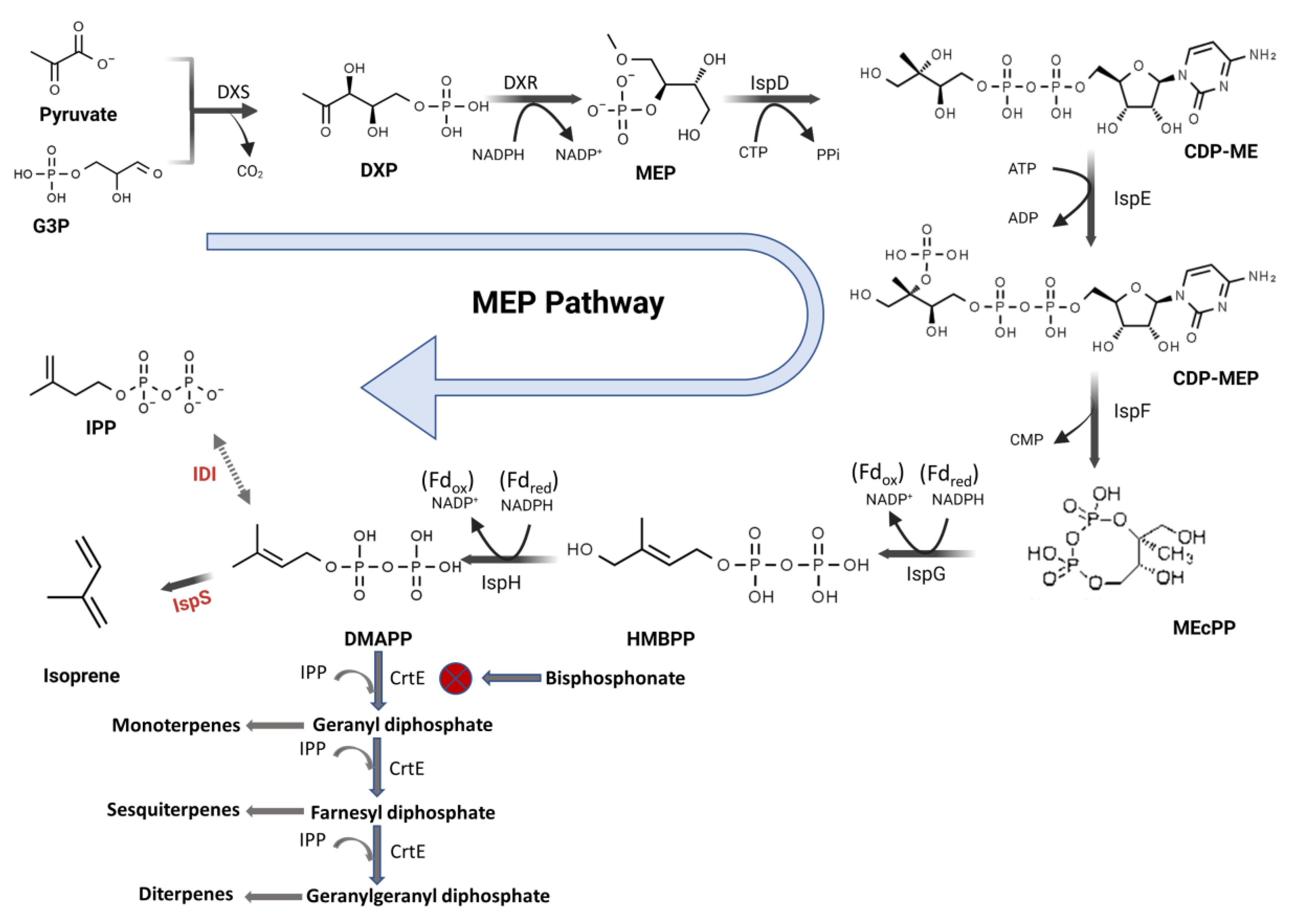 Fermentation 09 00217 g001