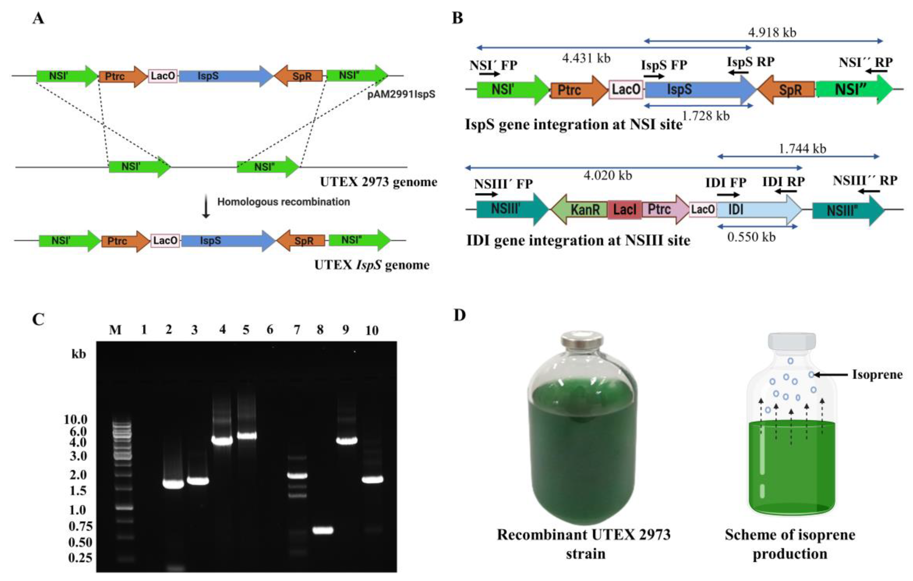 Fermentation 09 00217 g002
