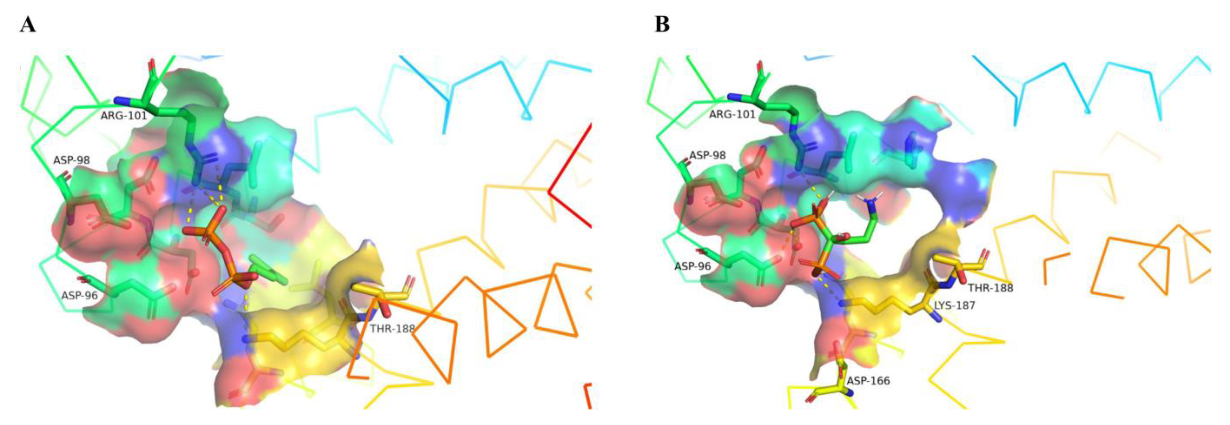 Fermentation 09 00217 g004