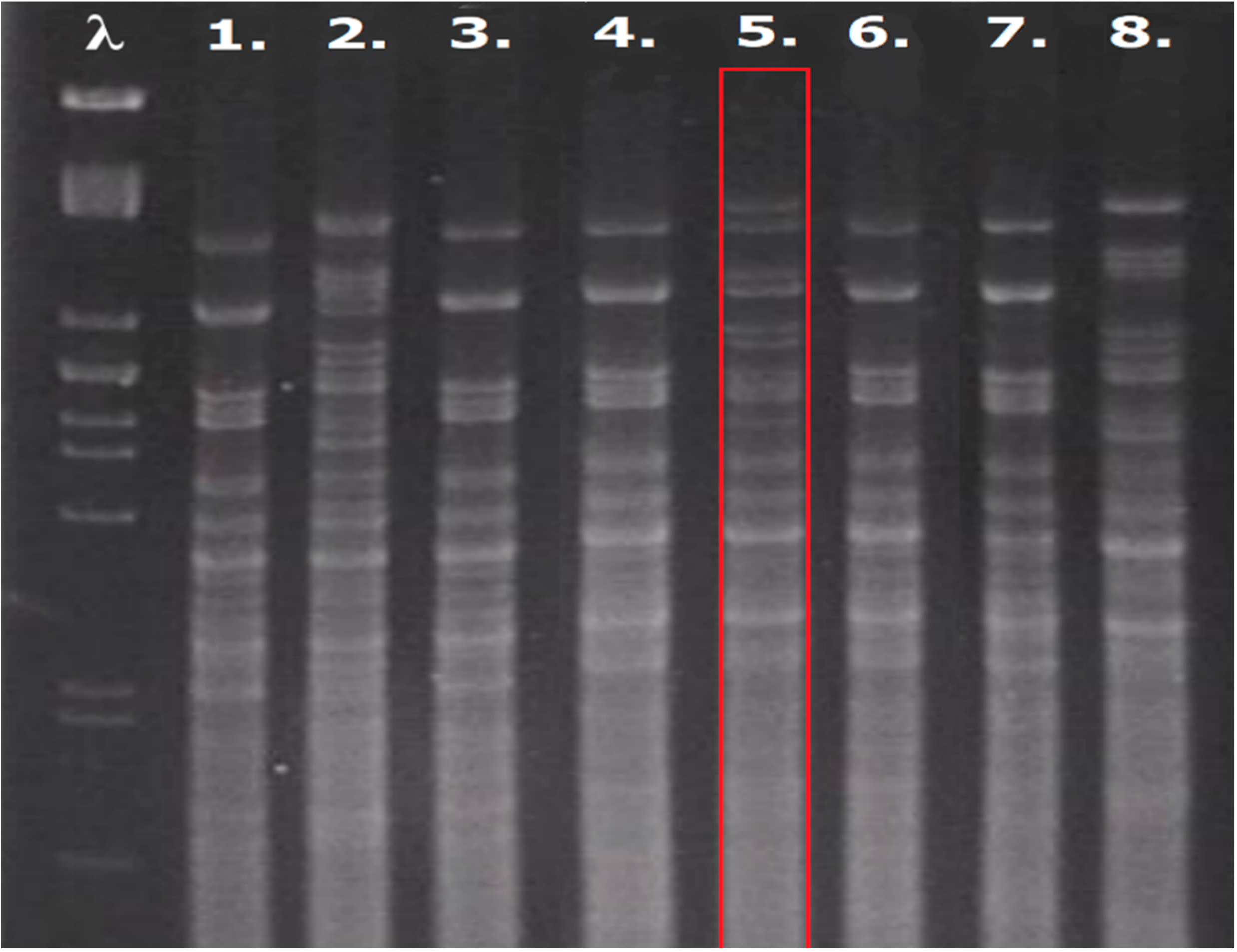 Fermentation 09 00221 g002