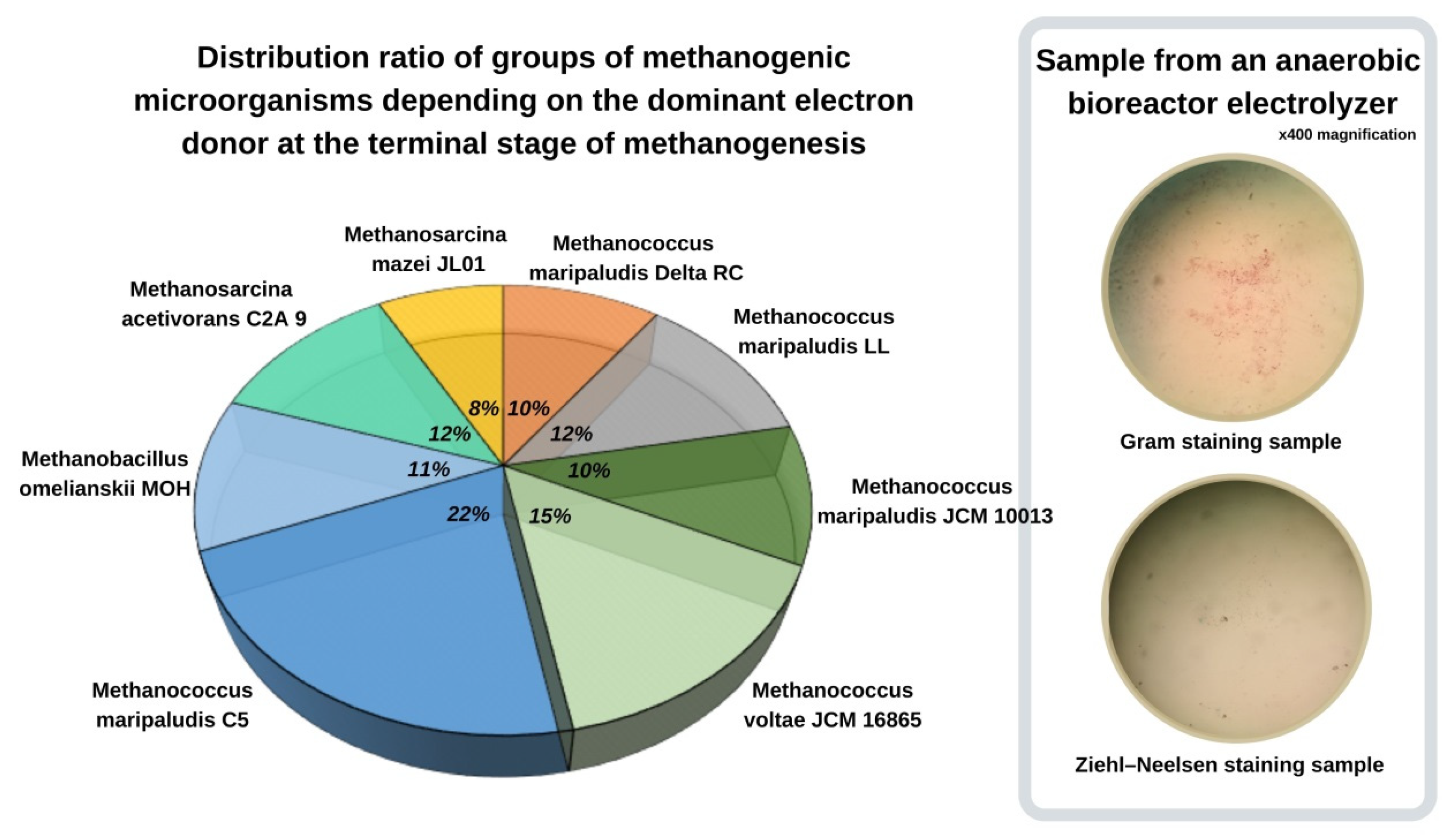 Fermentation 09 00225 g005