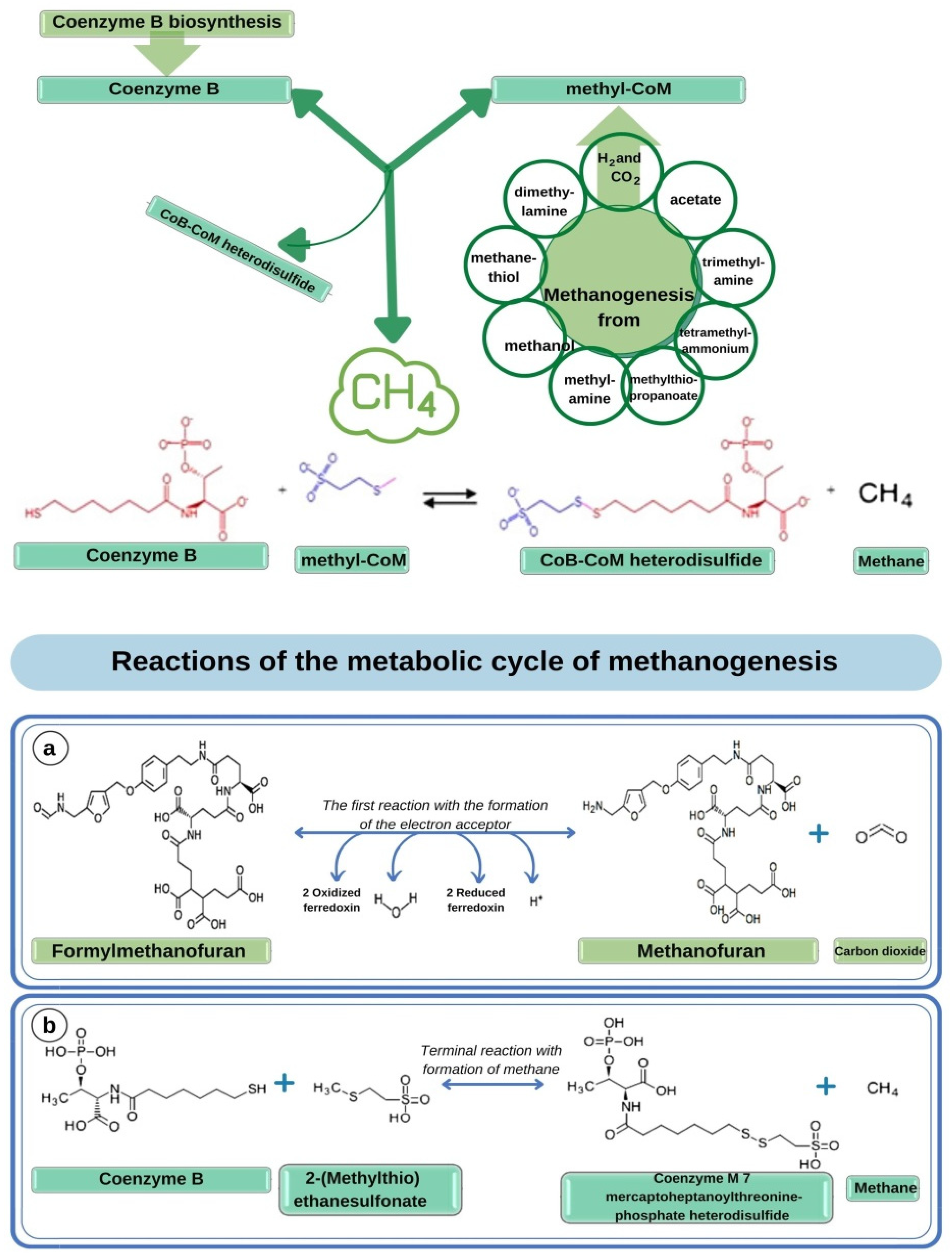 Fermentation 09 00225 g006