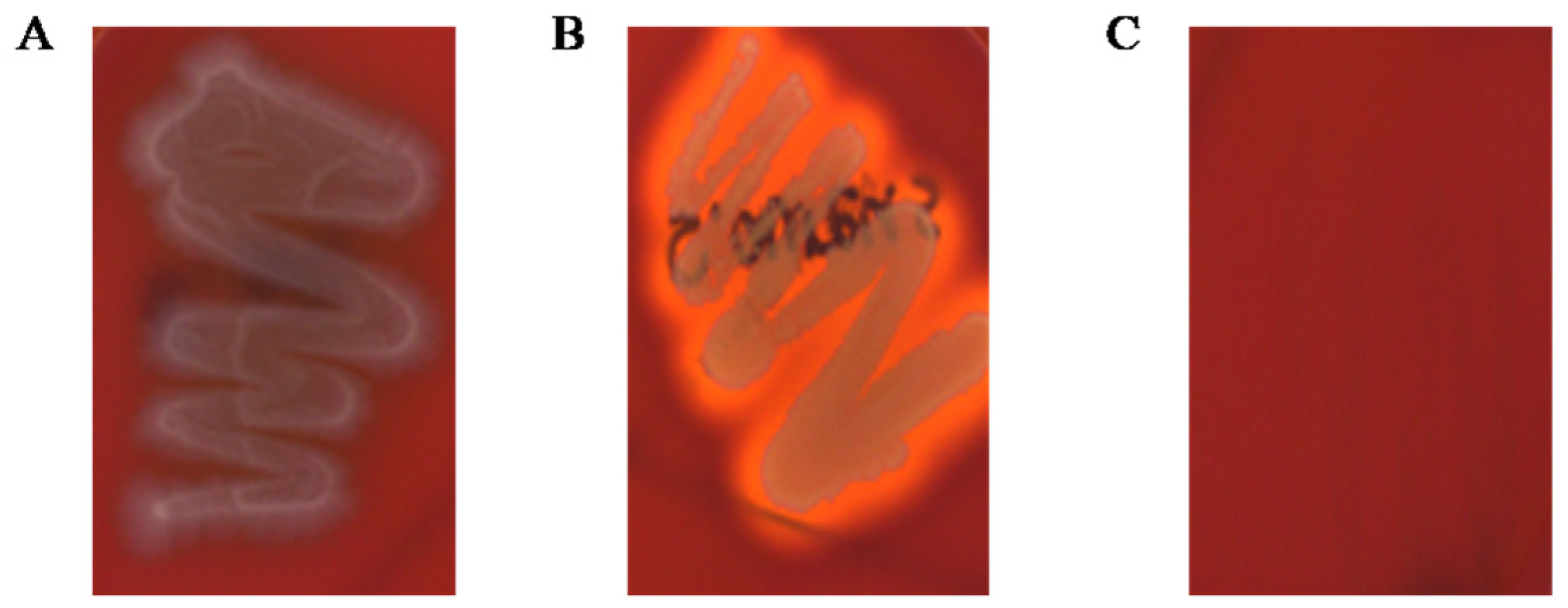 Fermentation 09 00228 g004