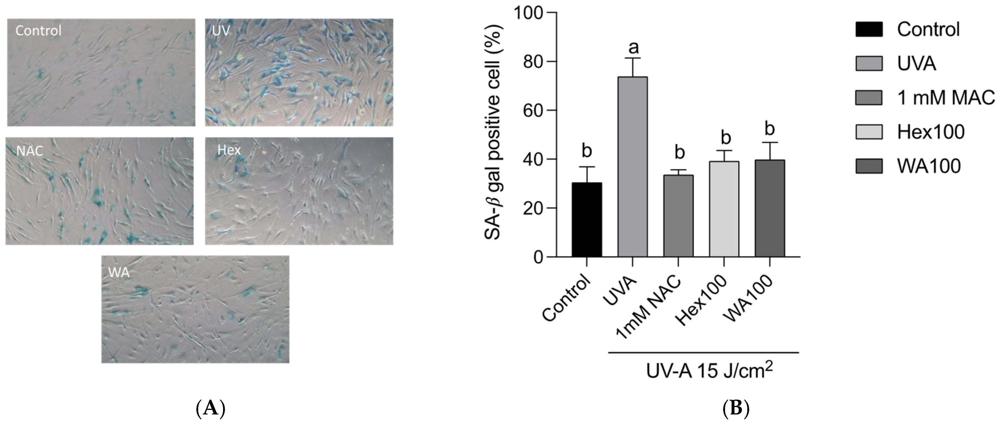 Fermentation 09 00230 g006