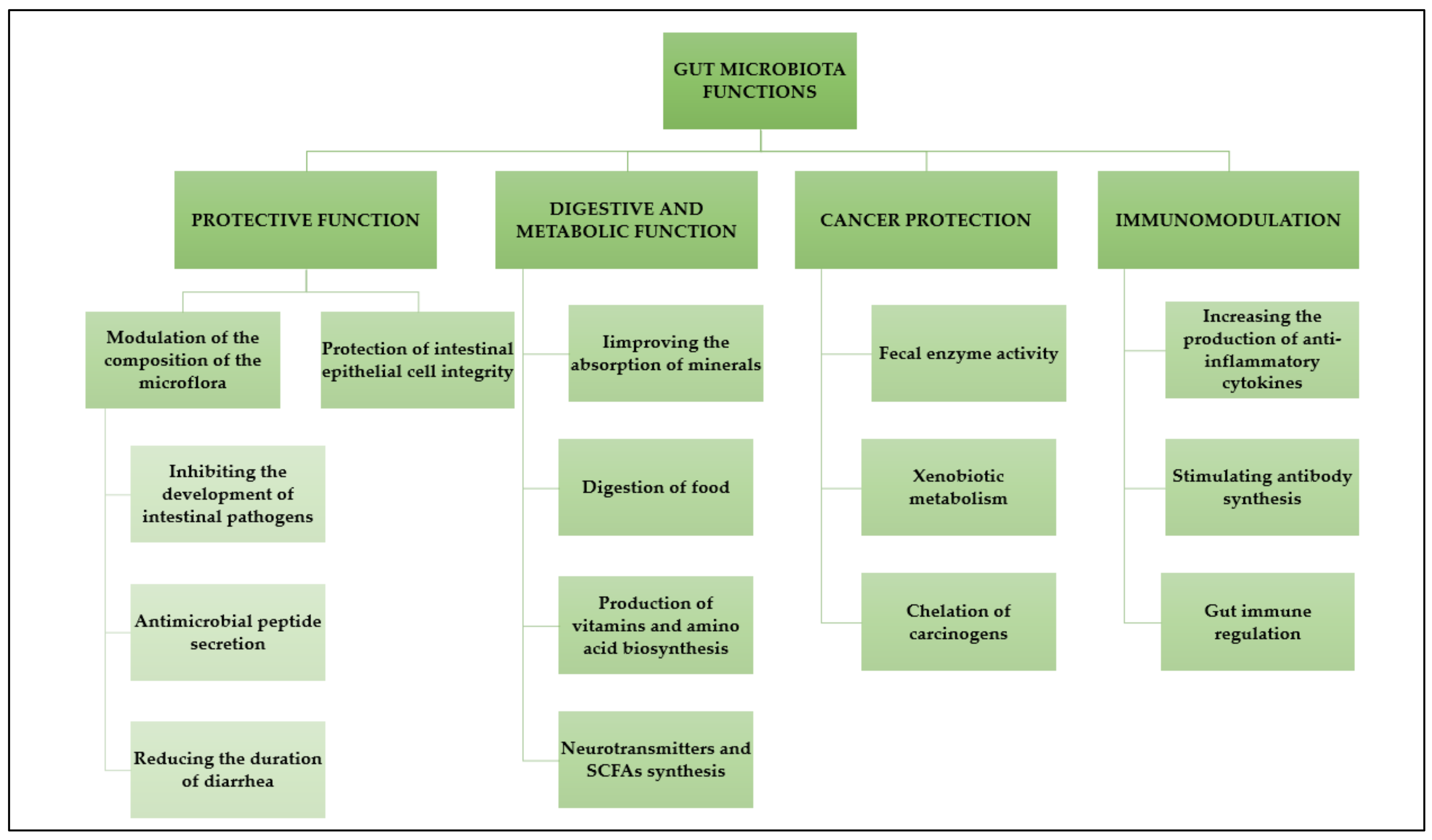 Fermentation 09 00231 g002