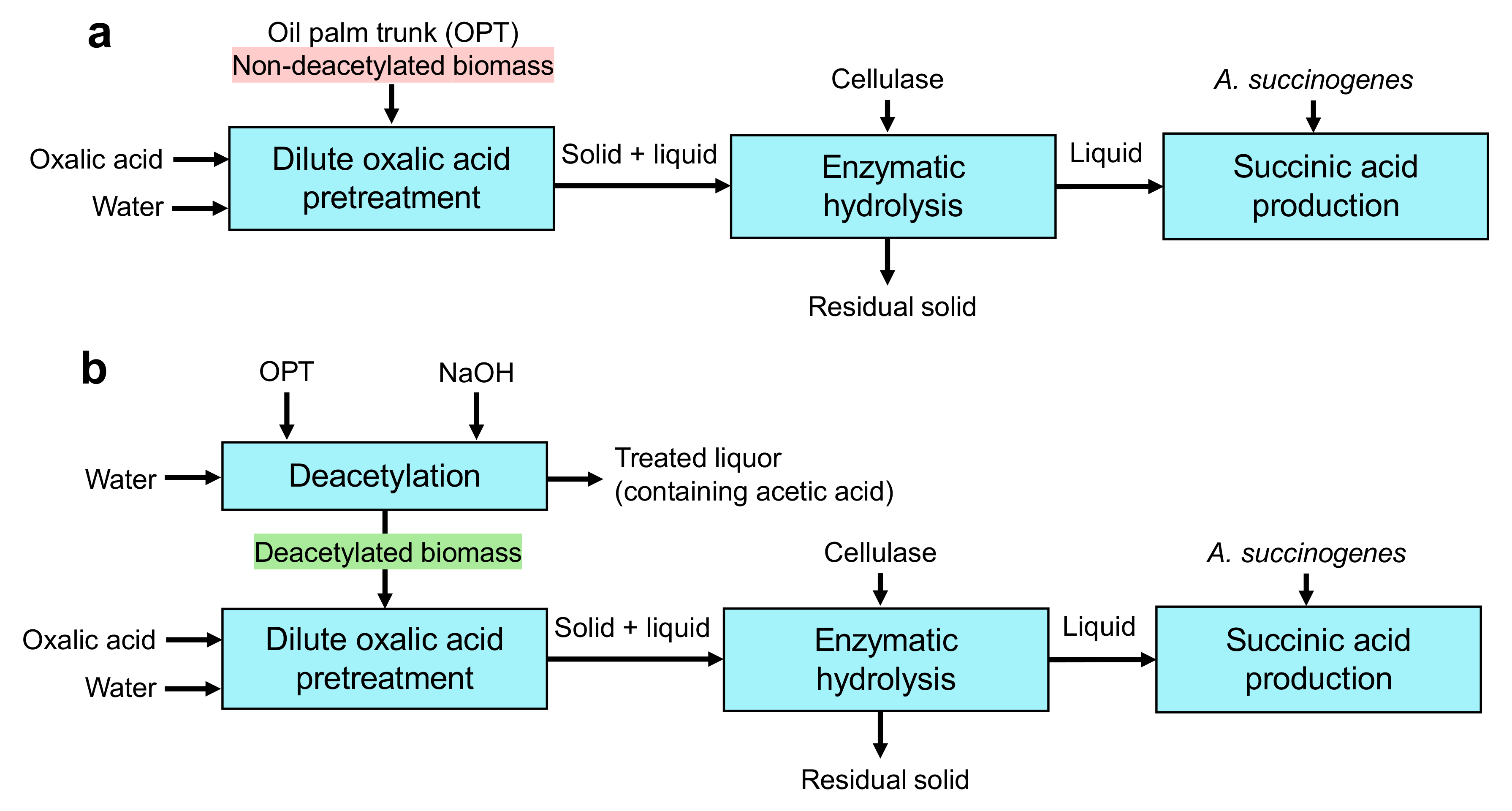 Fermentation 09 00235 g001