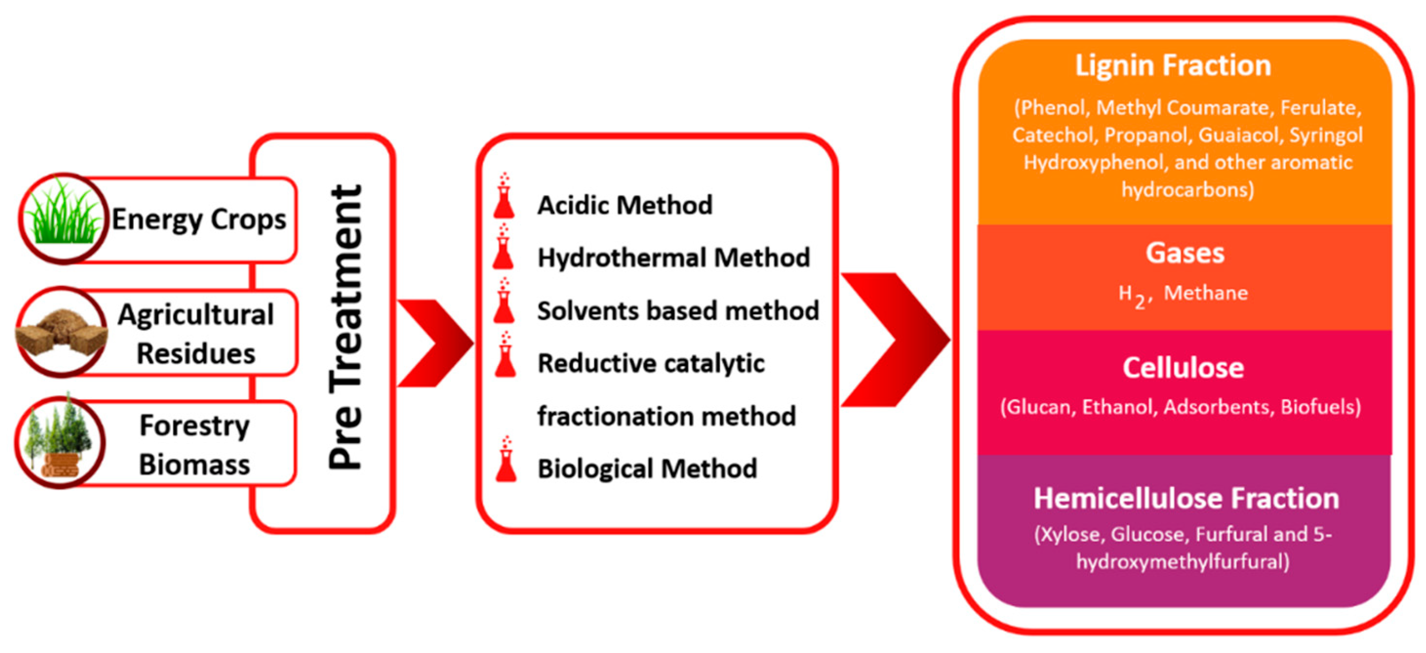 Fermentation 09 00238 g004