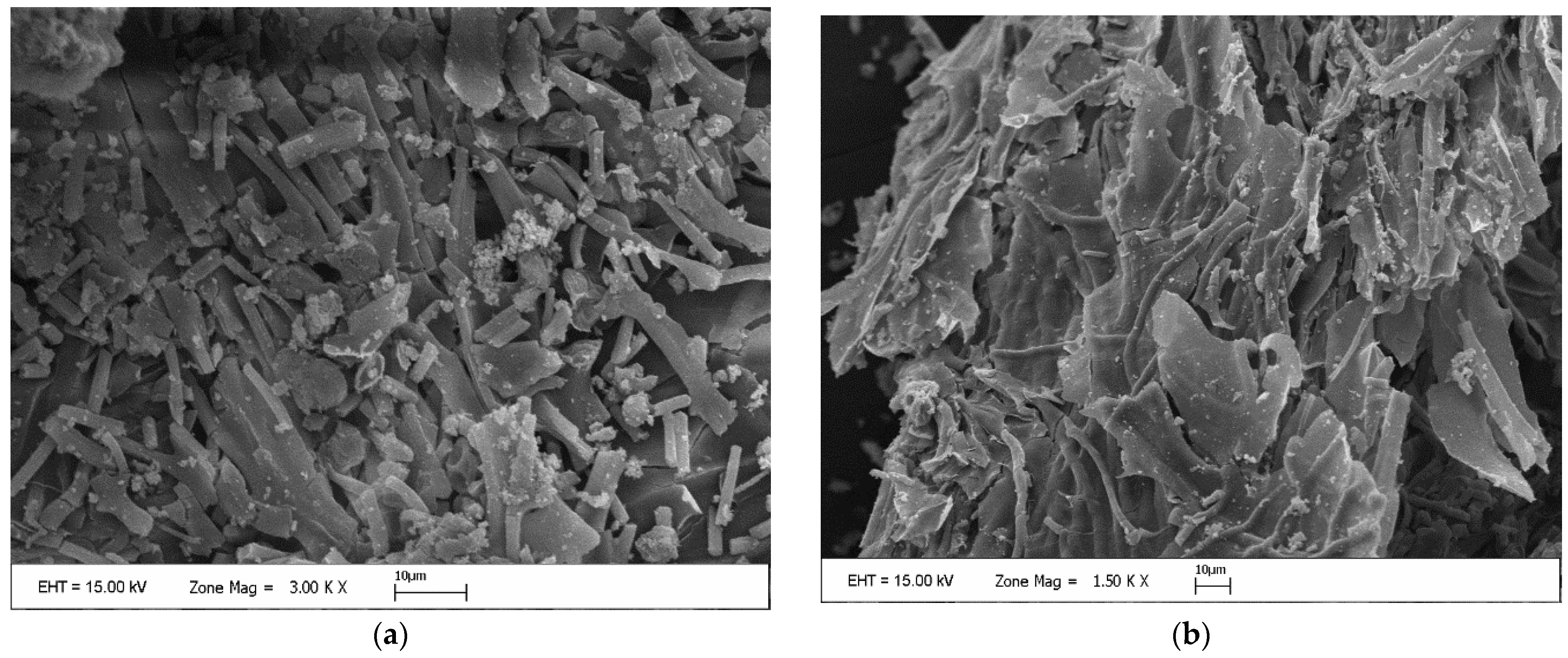 Fermentation 09 00240 g001