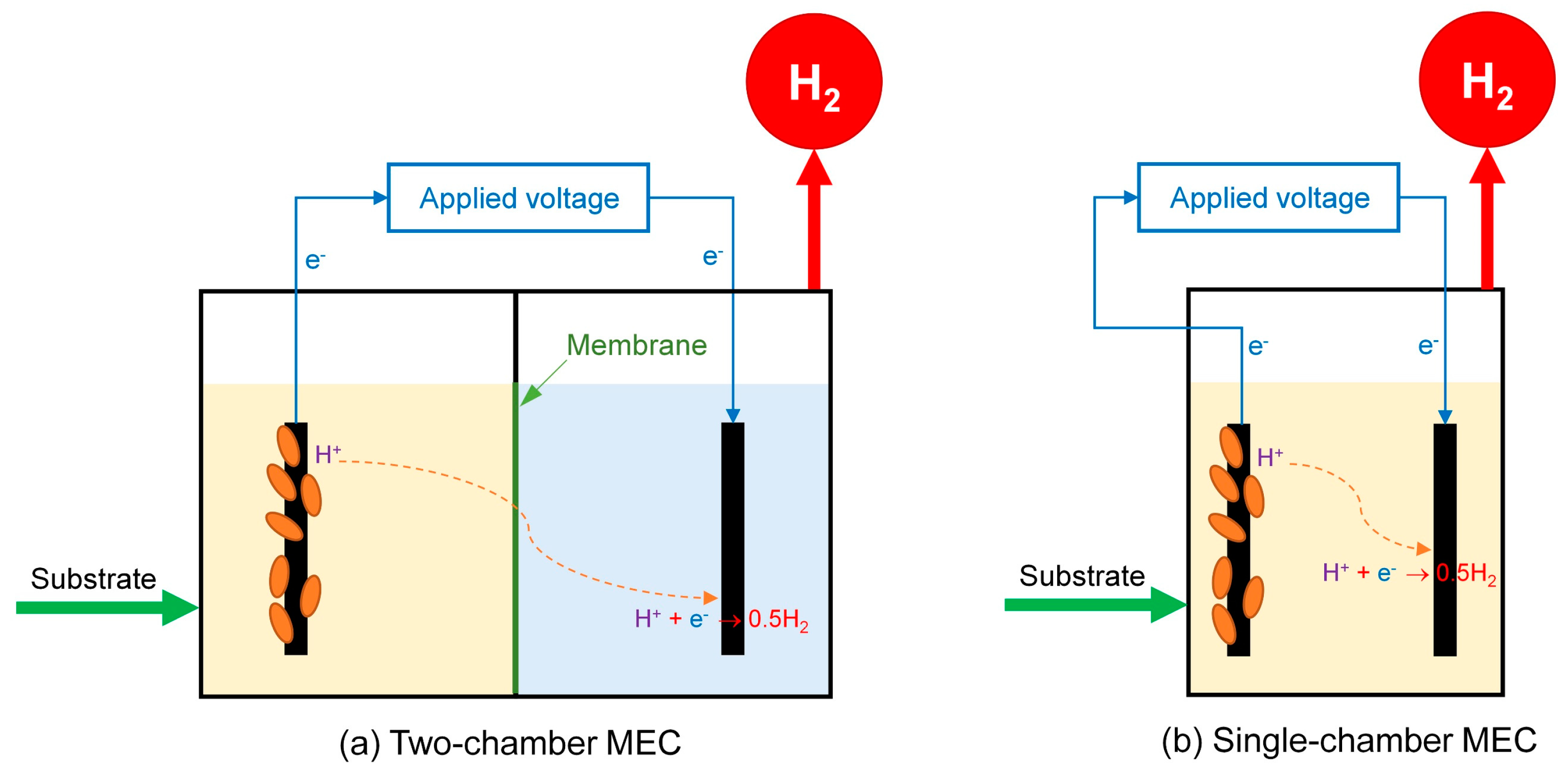 Fermentation 09 00242 g004 Fermentation 09 00242 g004