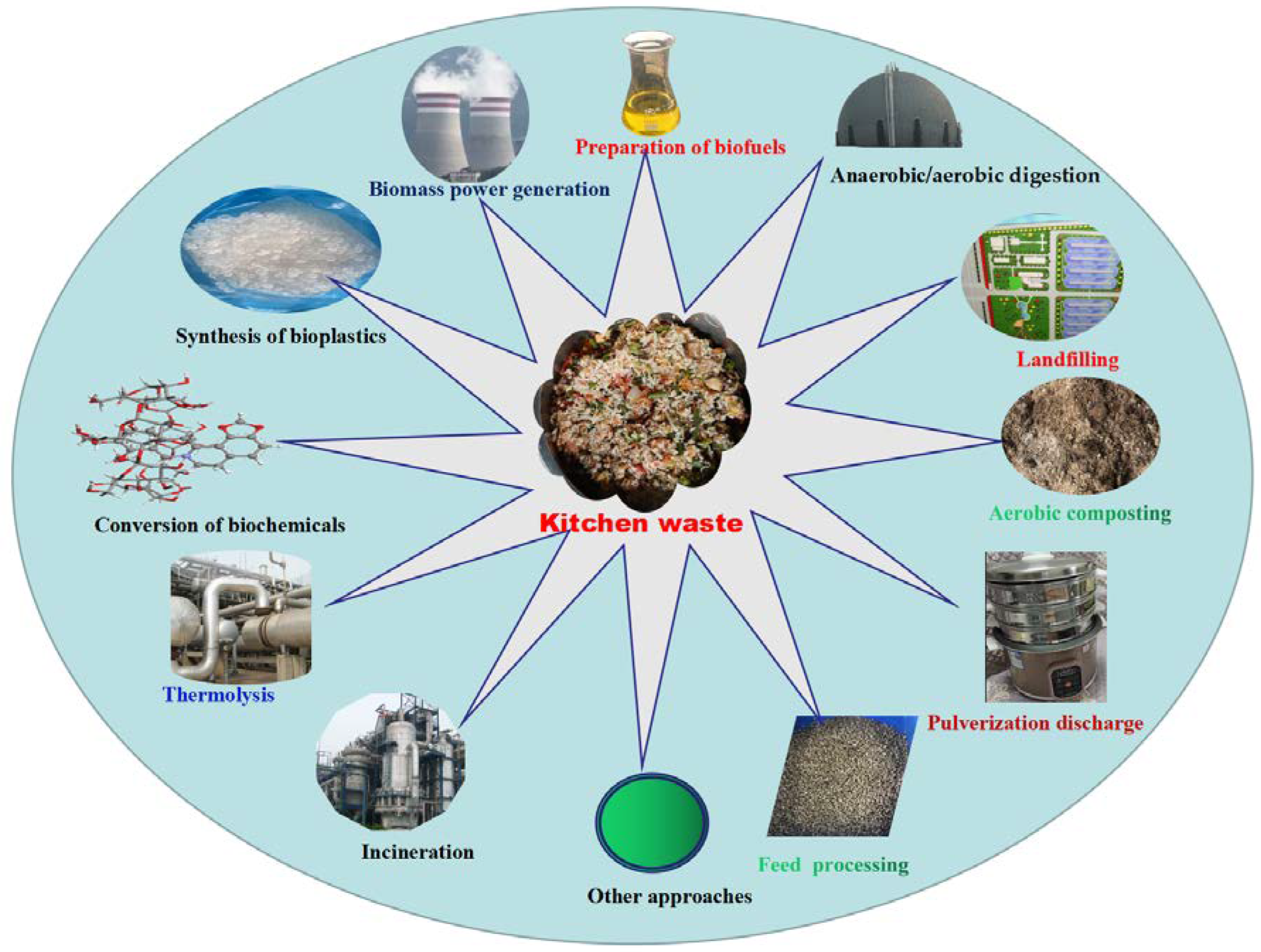 Fermentation 09 00247 g001 Fermentation 09 00247 g001