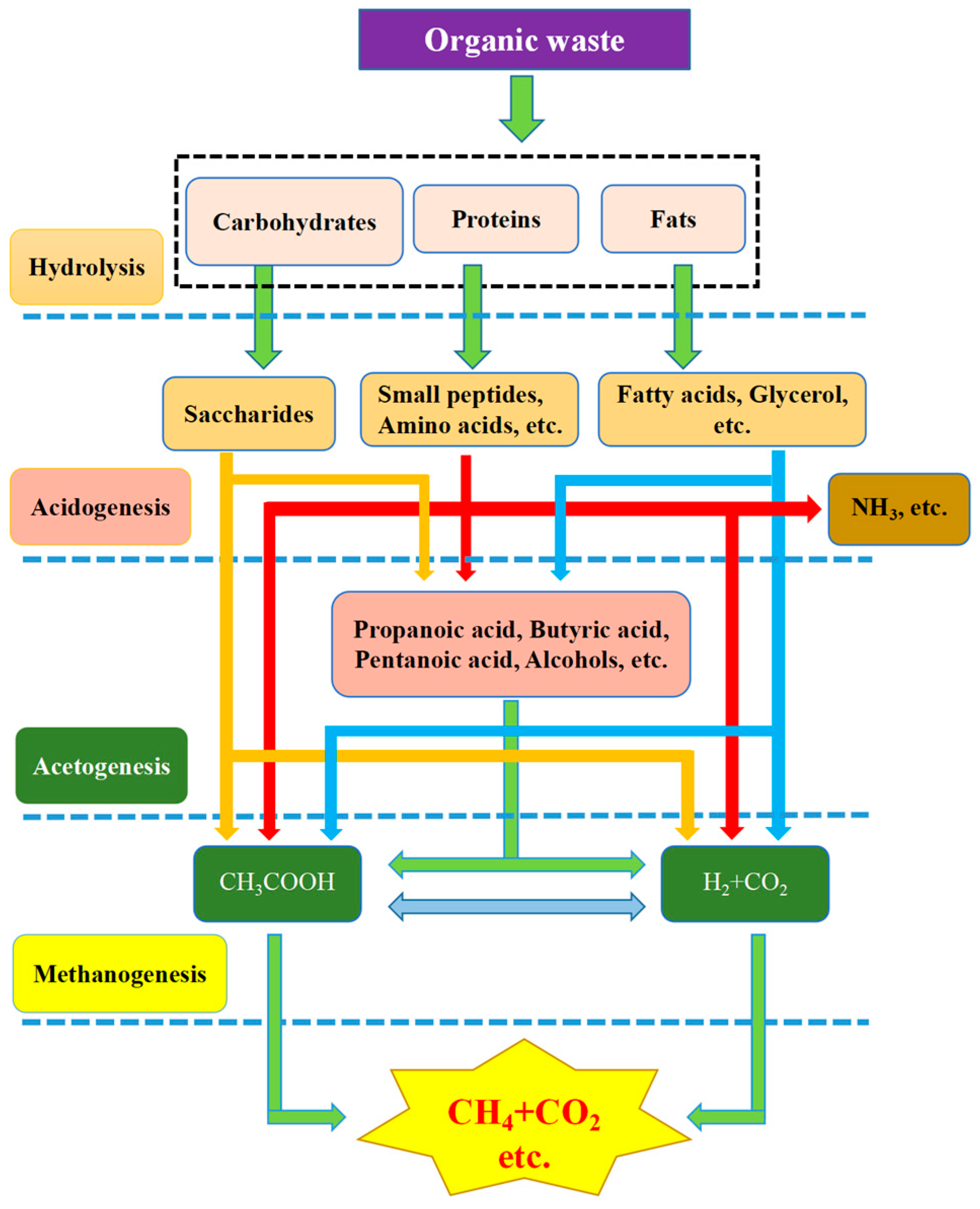 Fermentation 09 00247 g003 Fermentation 09 00247 g003